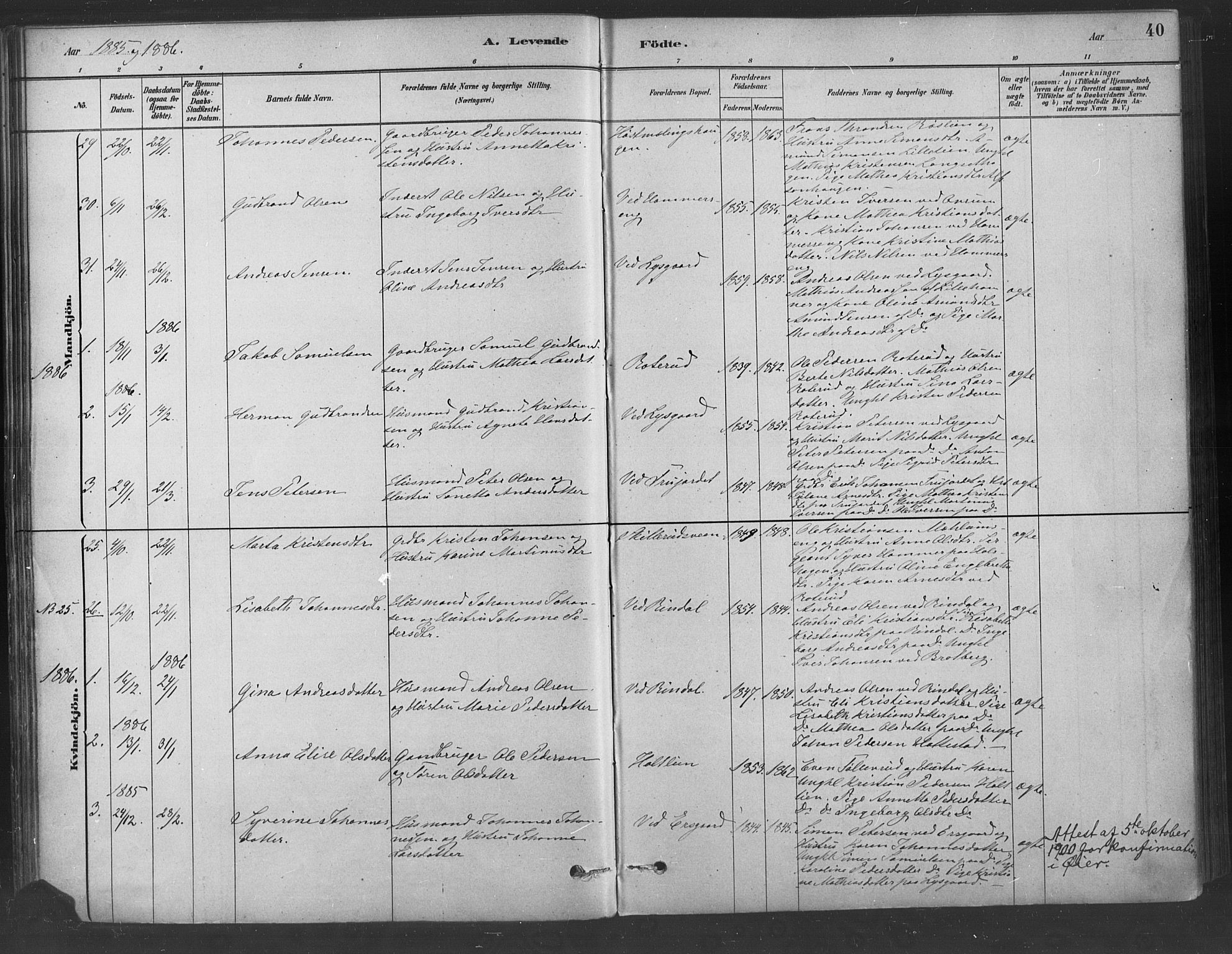 Fåberg prestekontor, AV/SAH-PREST-086/H/Ha/Haa/L0009: Parish register (official) no. 9, 1879-1898, p. 40