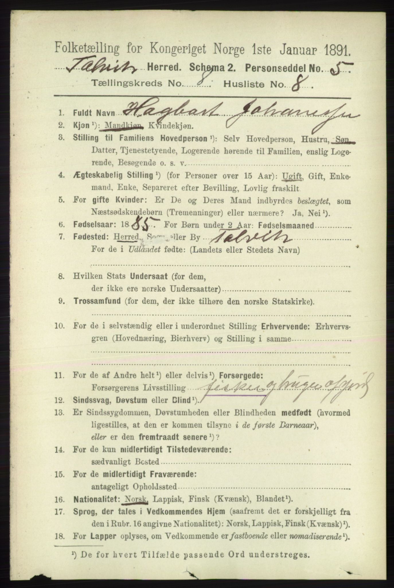 RA, 1891 census for 2013 Talvik, 1891, p. 2091