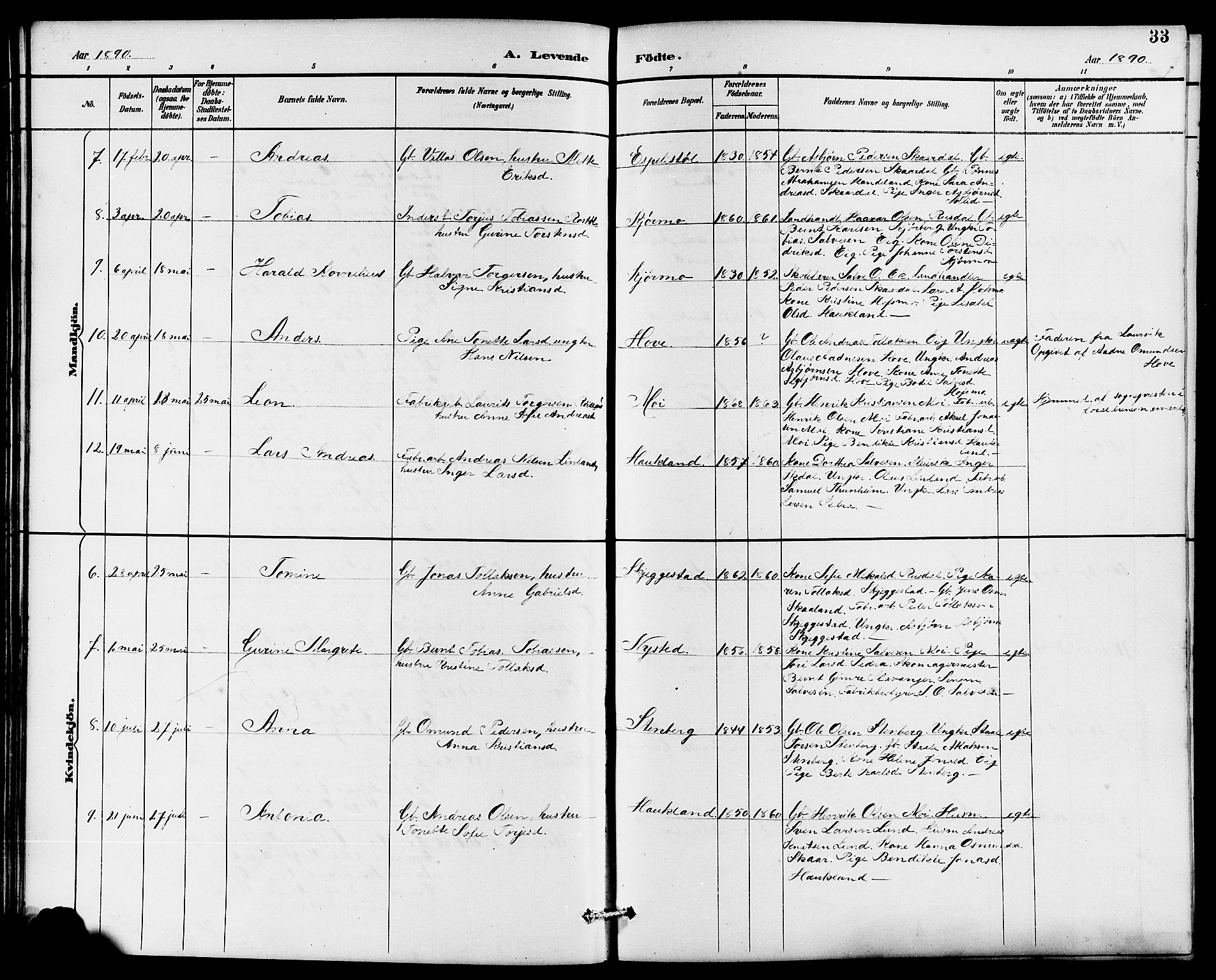 Lund sokneprestkontor, AV/SAST-A-101809/S07/L0006: Parish register (copy) no. B 6, 1885-1901, p. 33