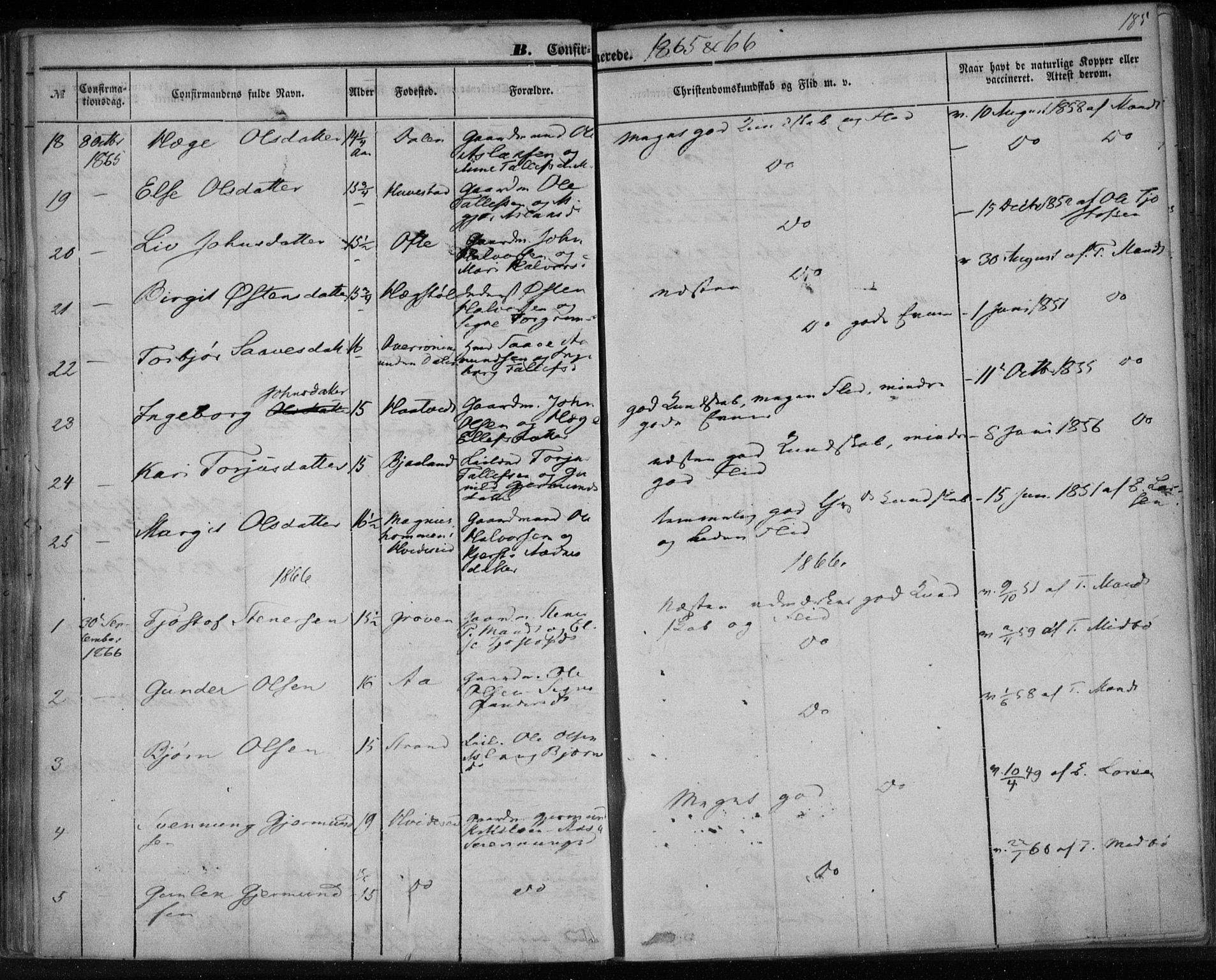 Lårdal kirkebøker, SAKO/A-284/F/Fa/L0006: Parish register (official) no. I 6, 1861-1886, p. 185