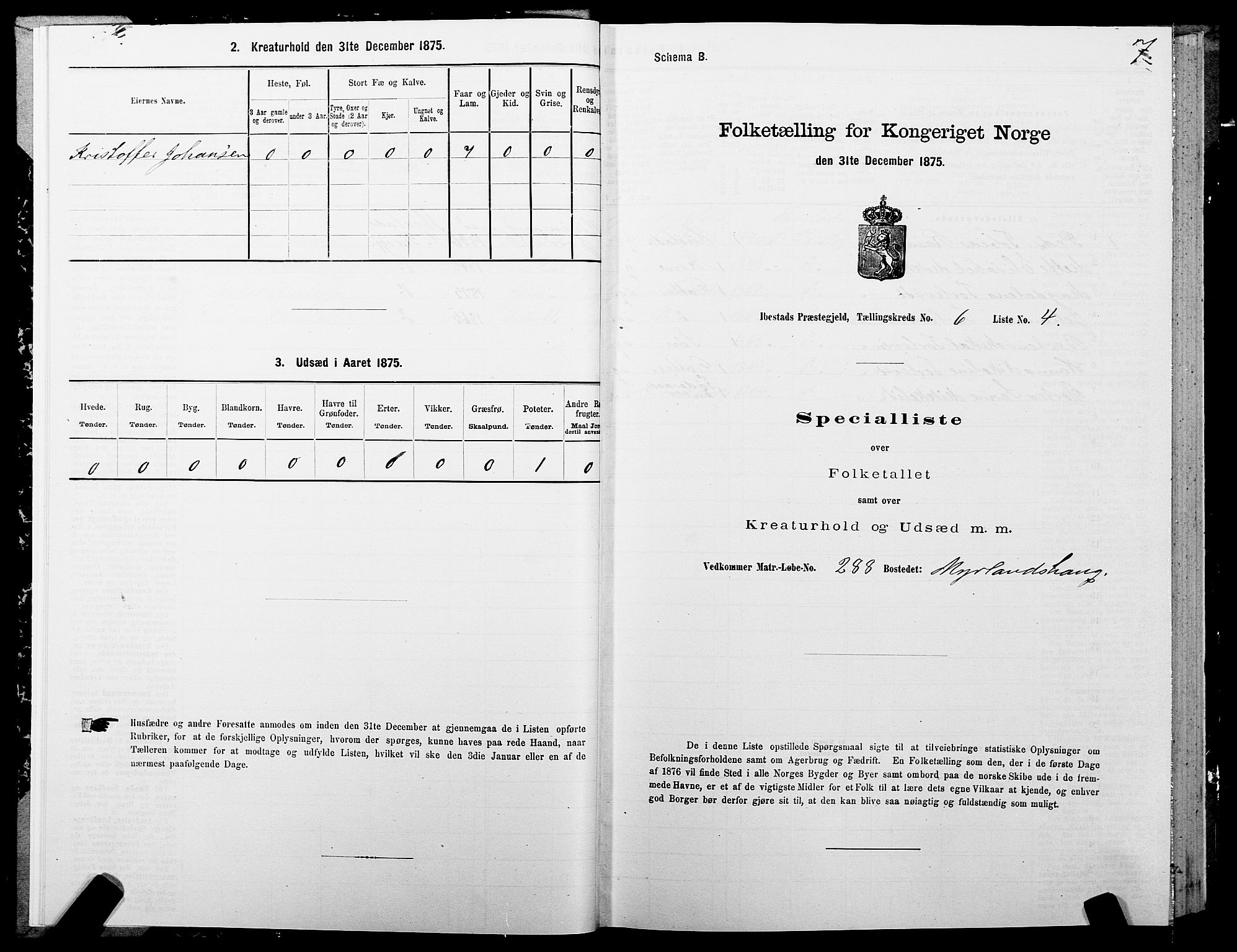 SATØ, 1875 census for 1917P Ibestad, 1875, p. 4007