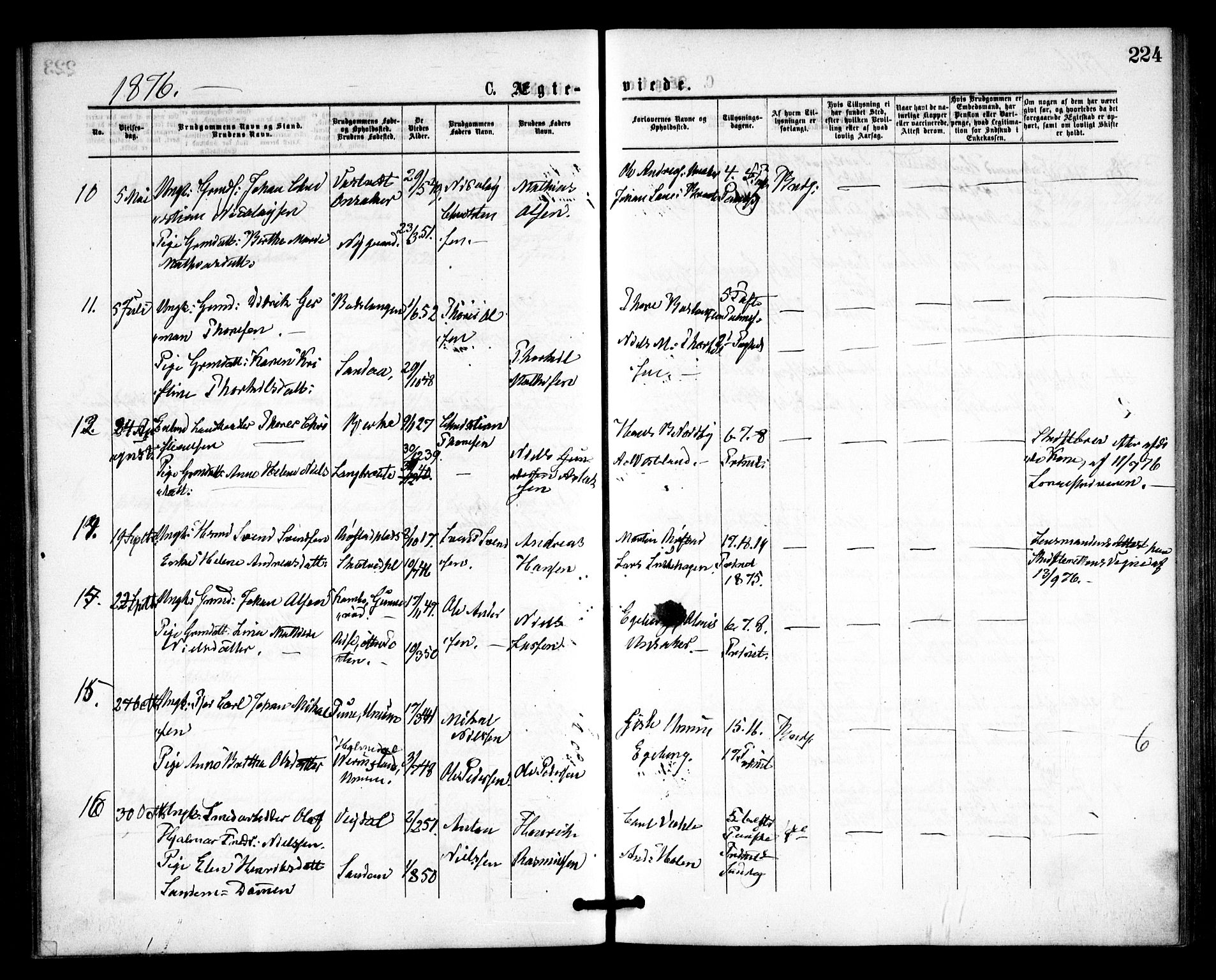 Våler prestekontor Kirkebøker, SAO/A-11083/F/Fa/L0009: Parish register (official) no. I 9, 1873-1877, p. 224