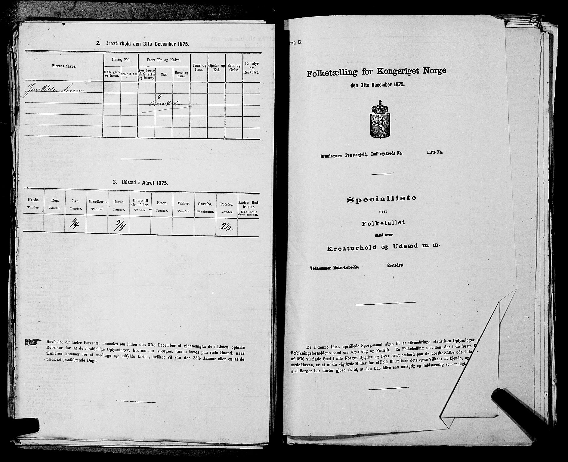 SAKO, 1875 census for 0818P Solum, 1875, p. 1212