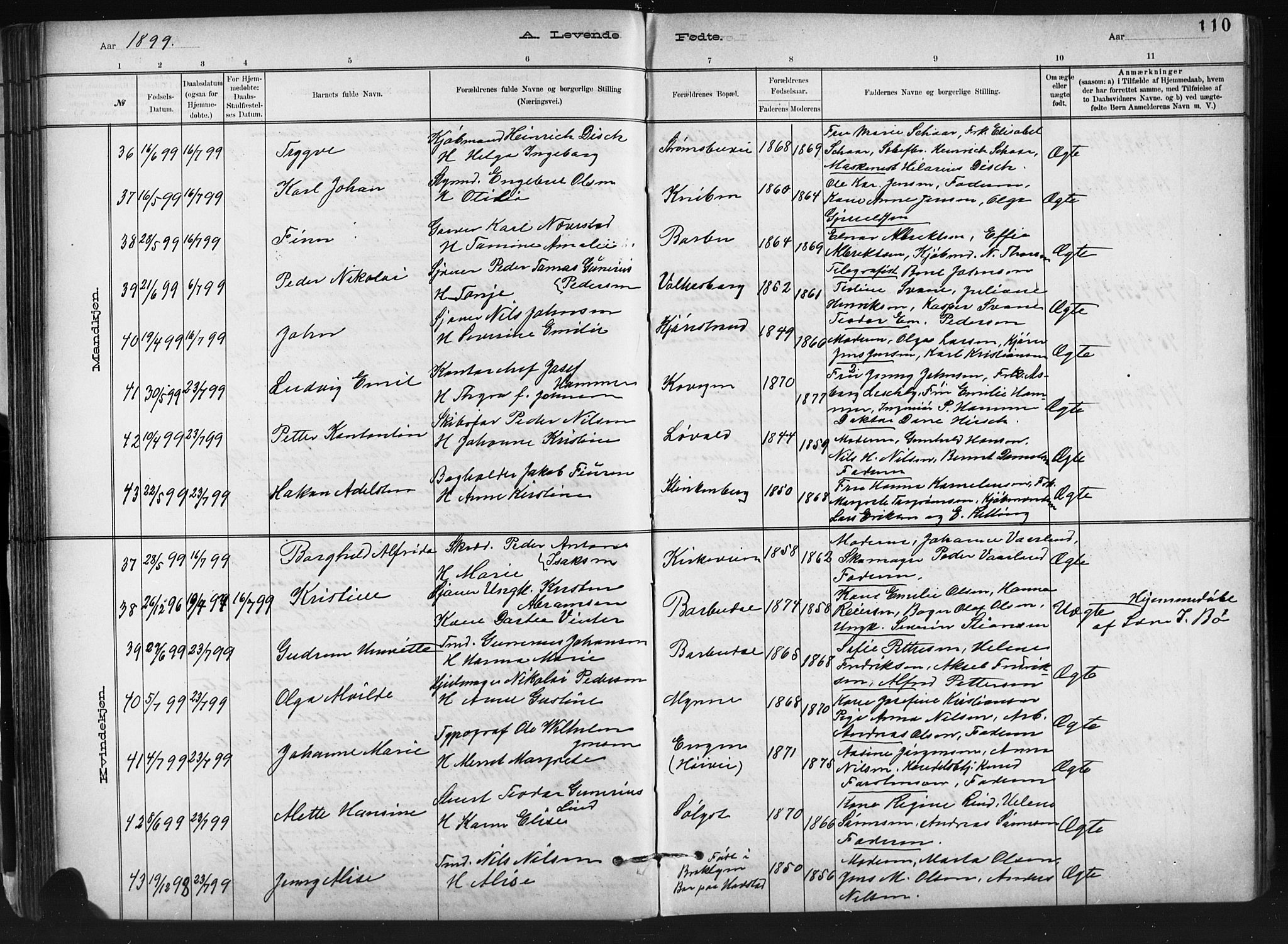 Barbu sokneprestkontor, AV/SAK-1111-0003/F/Fb/L0002: Parish register (copy) no. B 2, 1890-1922, p. 110