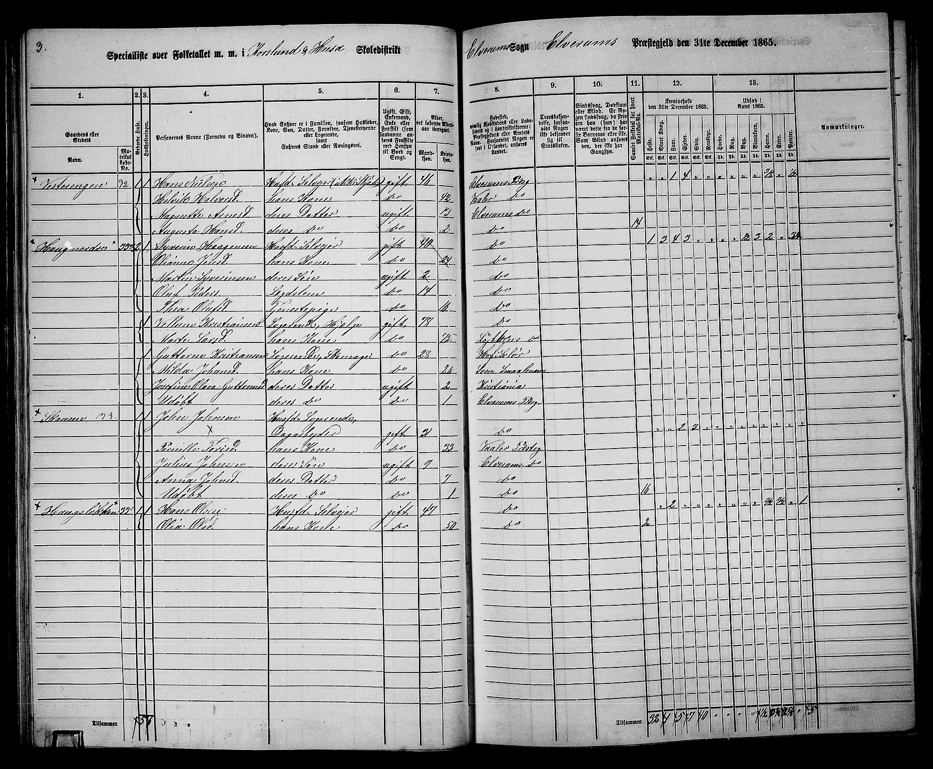 RA, 1865 census for Elverum, 1865, p. 53