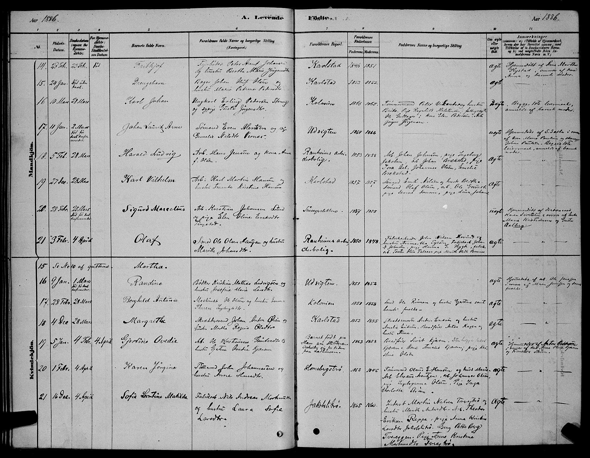 Ministerialprotokoller, klokkerbøker og fødselsregistre - Sør-Trøndelag, AV/SAT-A-1456/606/L0312: Parish register (copy) no. 606C08, 1878-1894