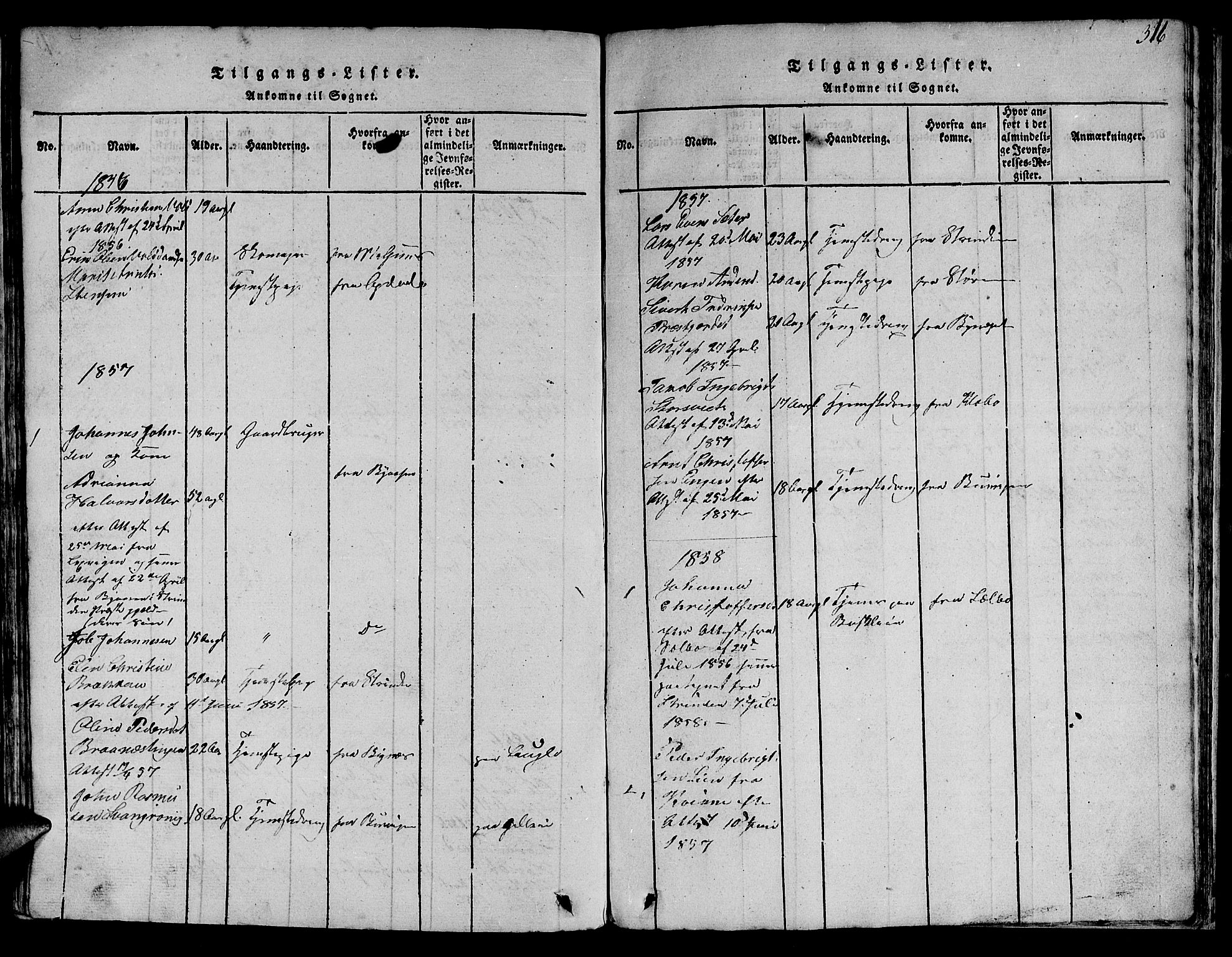 Ministerialprotokoller, klokkerbøker og fødselsregistre - Sør-Trøndelag, AV/SAT-A-1456/613/L0393: Parish register (copy) no. 613C01, 1816-1886, p. 316