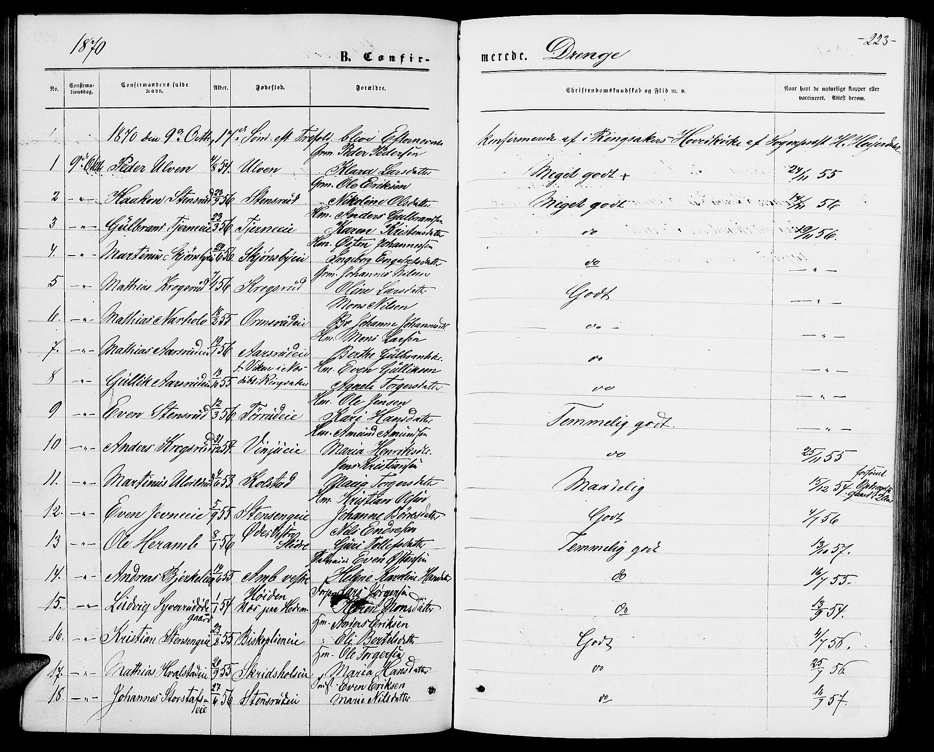 Ringsaker prestekontor, SAH/PREST-014/L/La/L0008: Parish register (copy) no. 8, 1870-1878, p. 223