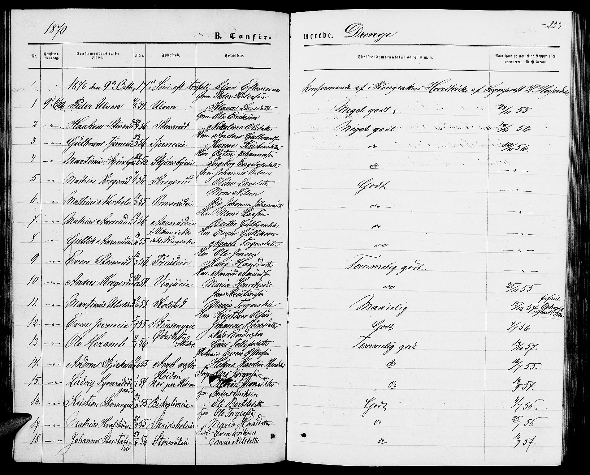 Ringsaker prestekontor, AV/SAH-PREST-014/L/La/L0008: Parish register (copy) no. 8, 1870-1878, p. 223