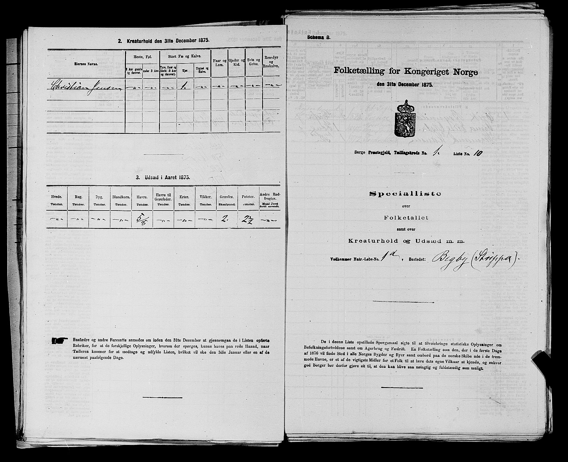 RA, 1875 census for 0113P Borge, 1875, p. 45
