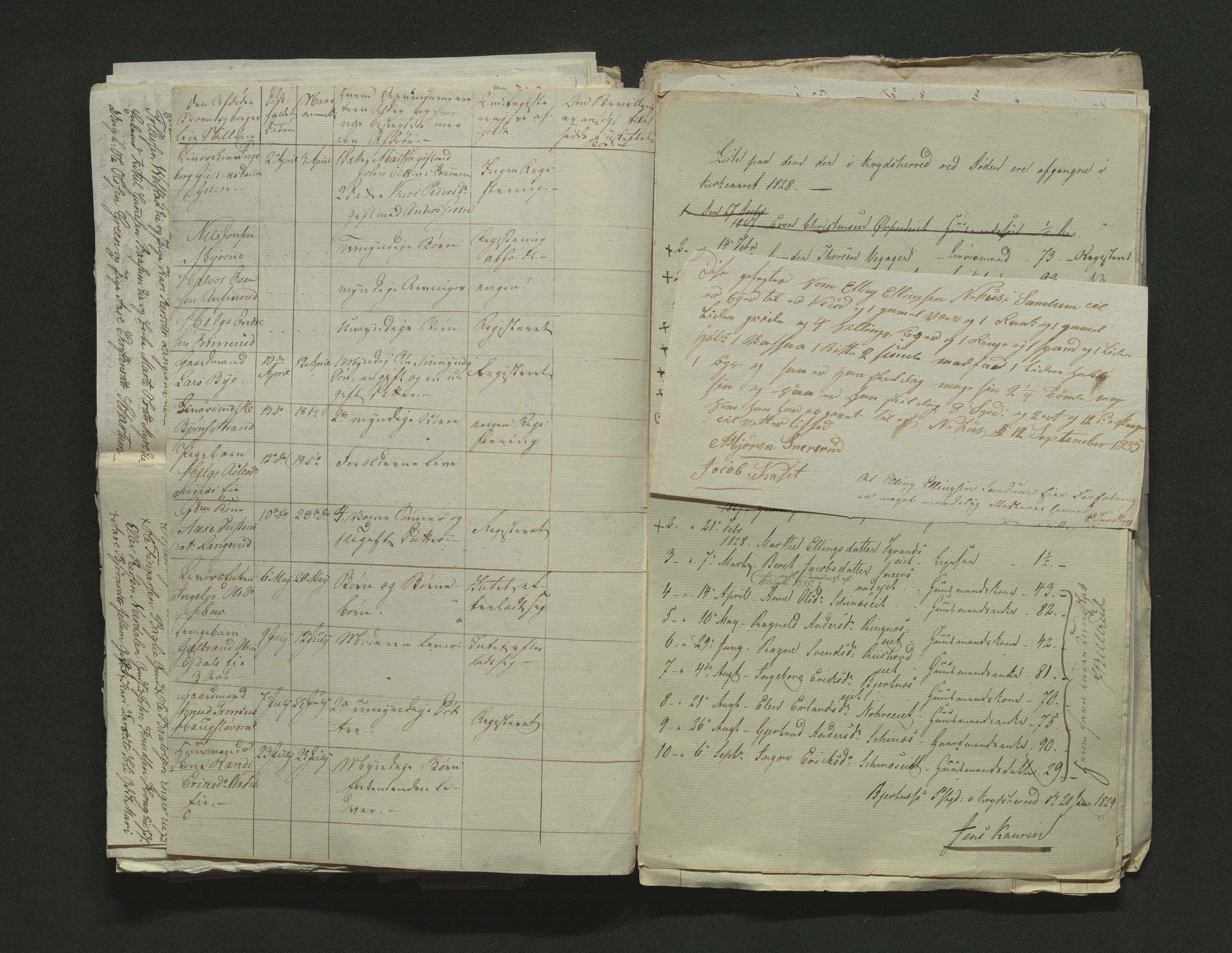 Eiker, Modum og Sigdal sorenskriveri, AV/SAKO-A-123/H/Ha/Hab/L0002: Dødsfallsmeldinger, 1823-1829, p. 317