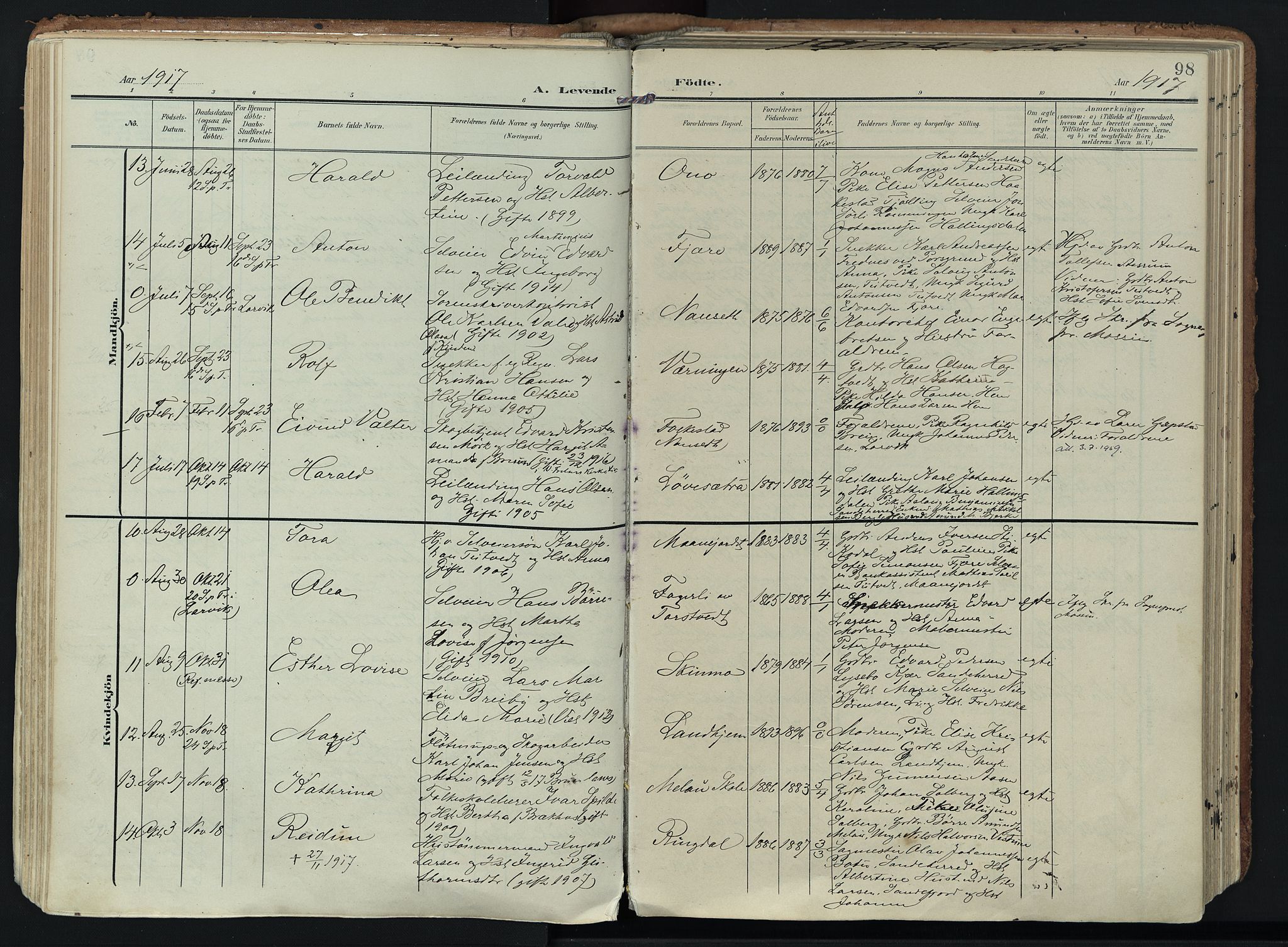 Hedrum kirkebøker, AV/SAKO-A-344/F/Fa/L0010: Parish register (official) no. I 10, 1904-1918, p. 98