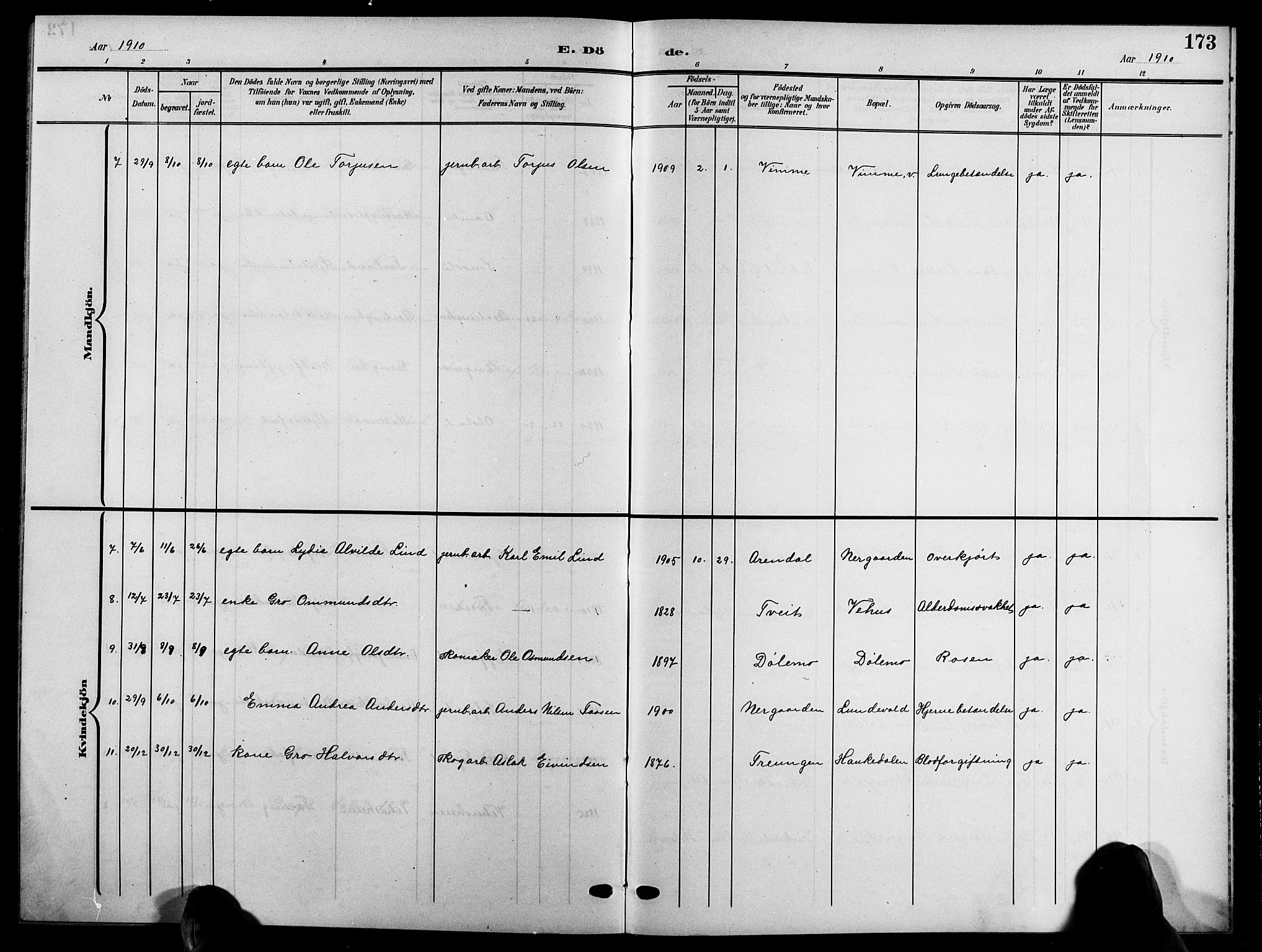 Åmli sokneprestkontor, SAK/1111-0050/F/Fb/Fbc/L0005: Parish register (copy) no. B 5, 1903-1916, p. 173