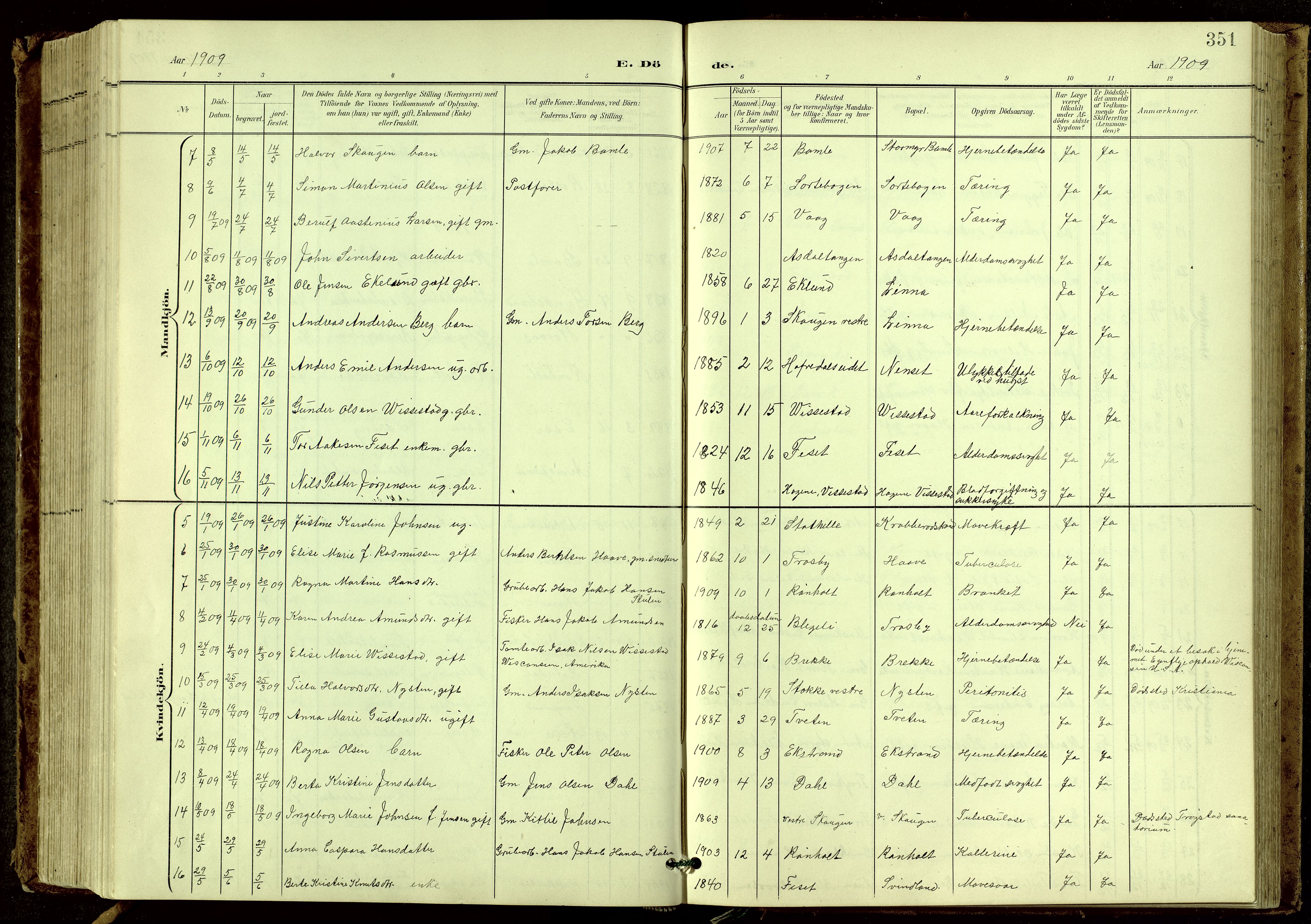 Bamble kirkebøker, SAKO/A-253/G/Ga/L0010: Parish register (copy) no. I 10, 1901-1919, p. 351