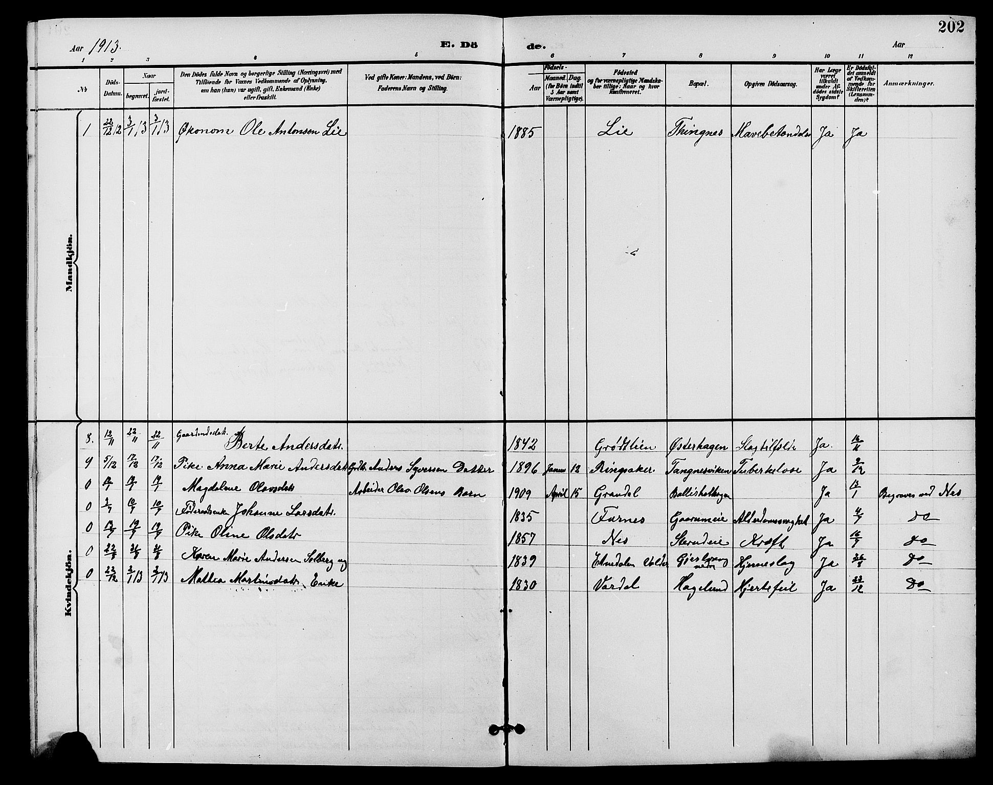 Nes prestekontor, Hedmark, AV/SAH-PREST-020/L/La/L0007: Parish register (copy) no. 7, 1892-1912, p. 202