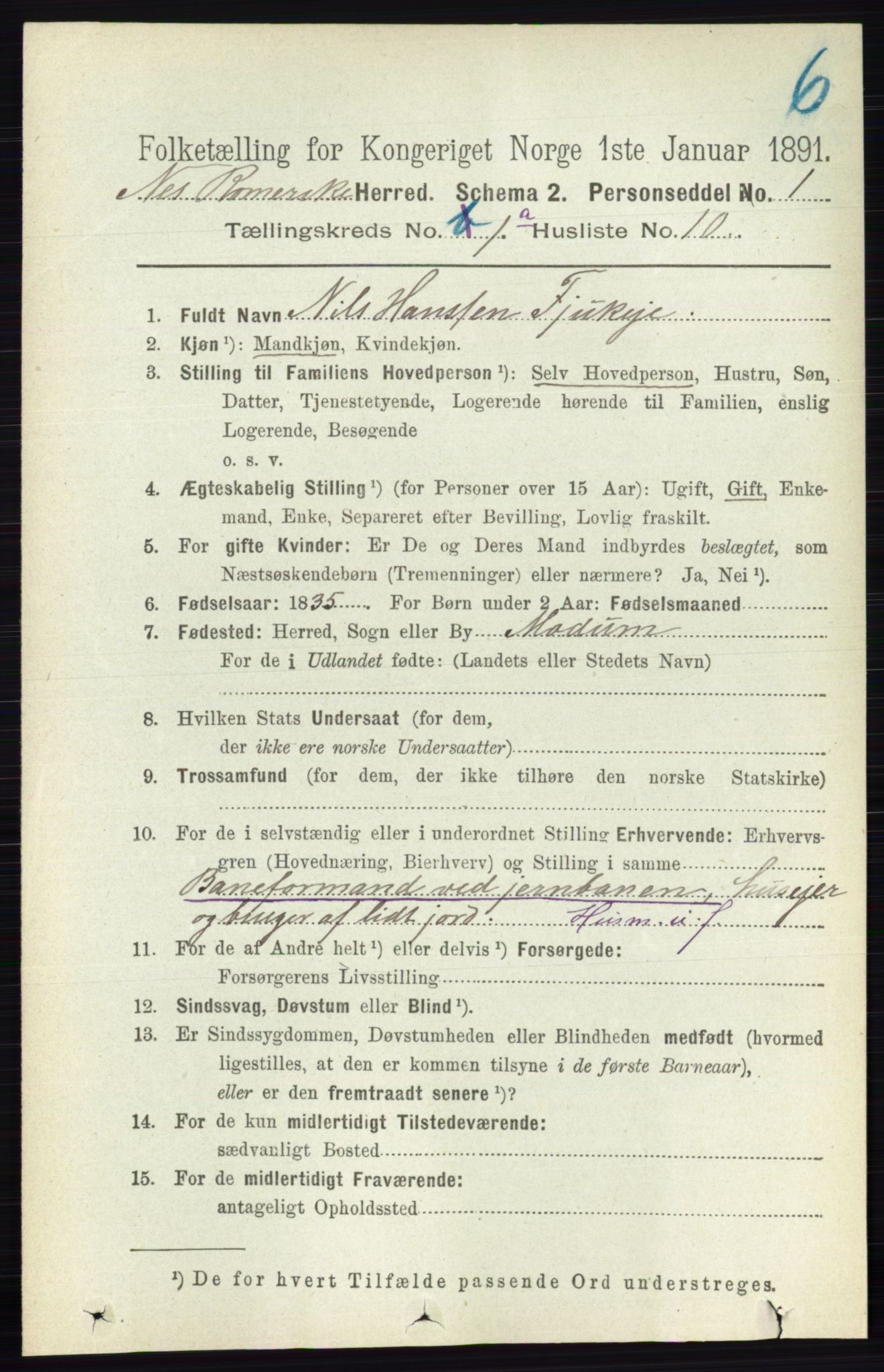 RA, 1891 census for 0236 Nes, 1891, p. 169