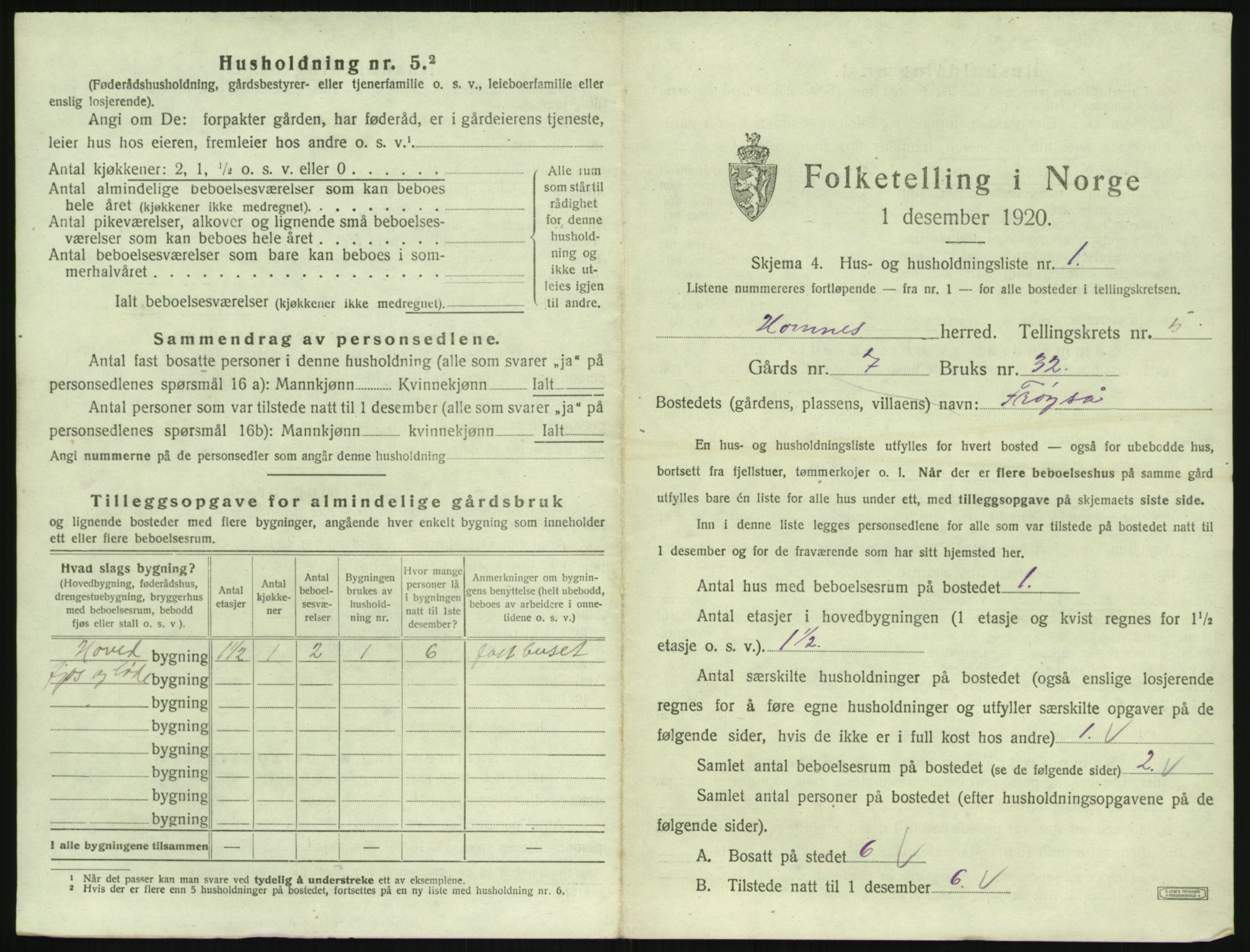 SAK, 1920 census for Hornnes, 1920, p. 205