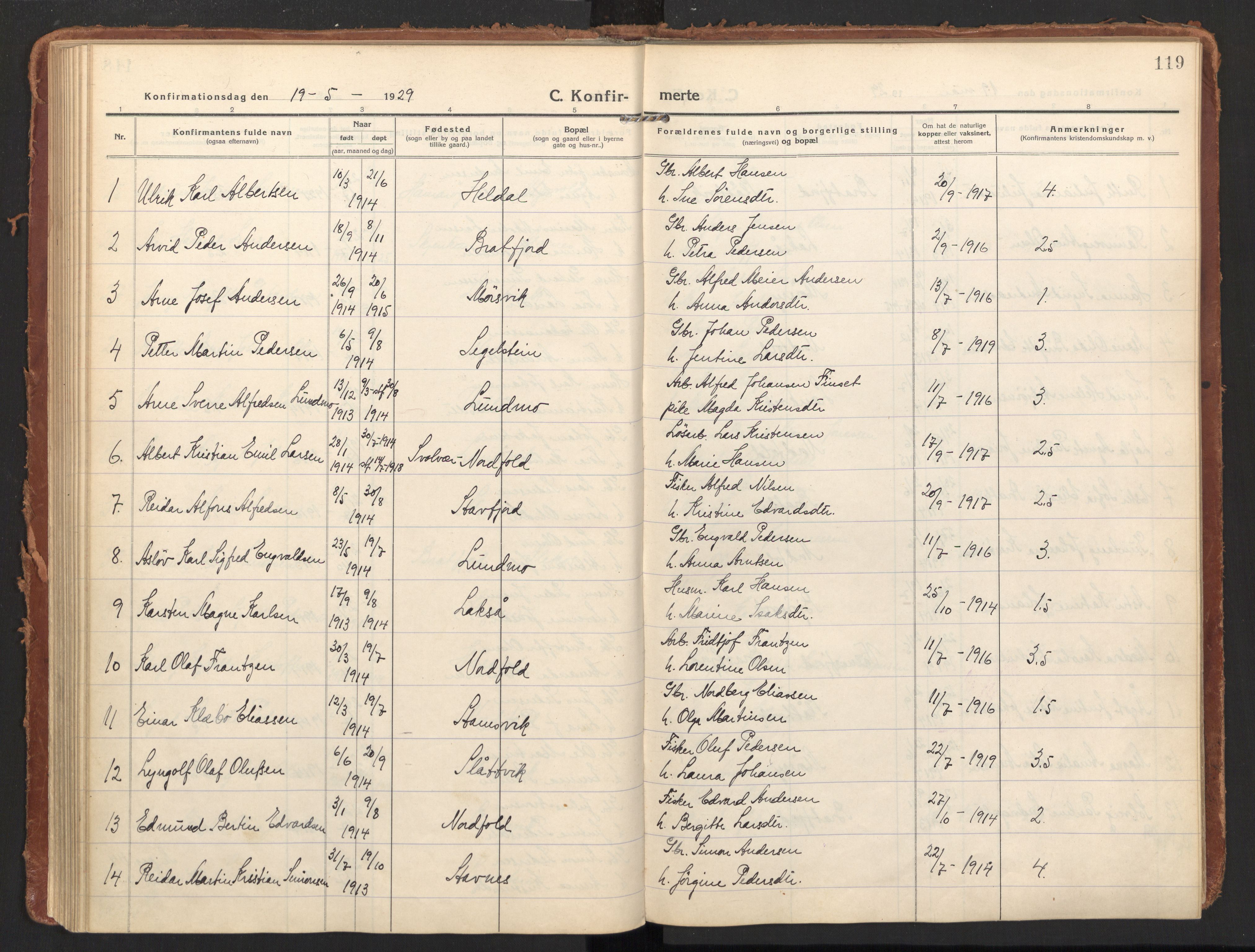 Ministerialprotokoller, klokkerbøker og fødselsregistre - Nordland, AV/SAT-A-1459/858/L0833: Parish register (official) no. 858A03, 1916-1934, p. 119