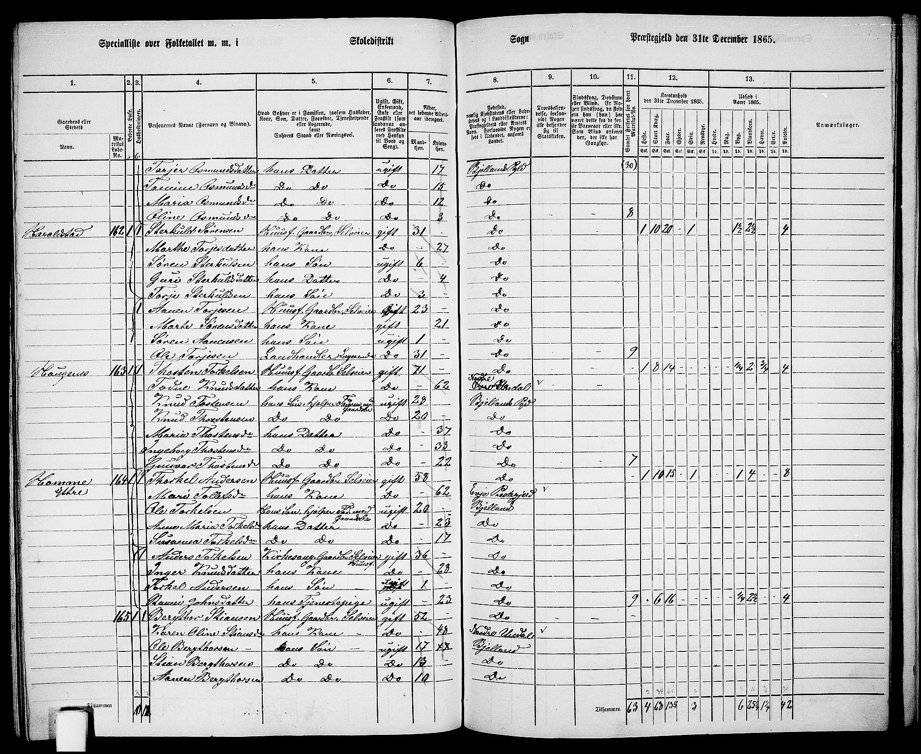 RA, 1865 census for Bjelland, 1865, p. 99