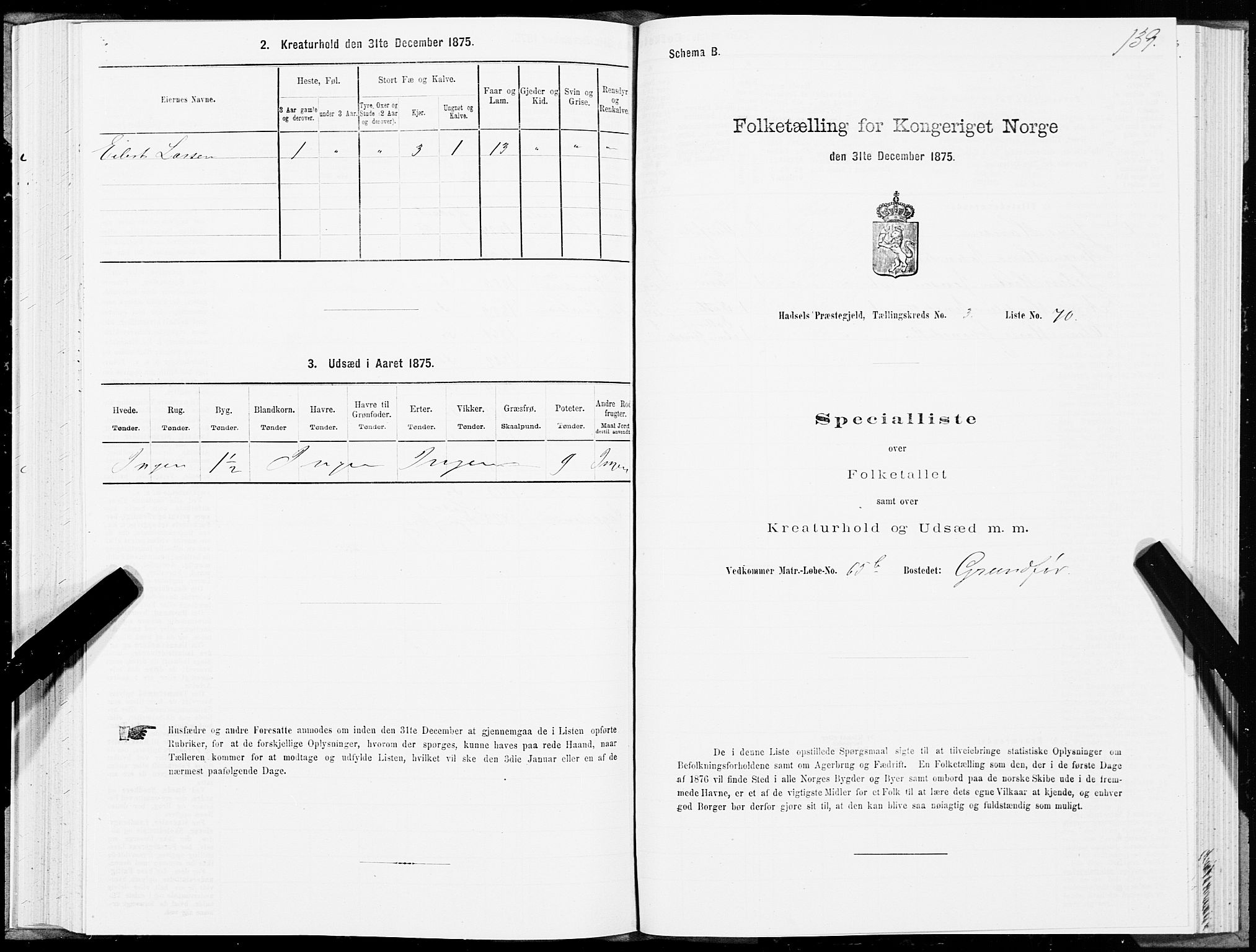 SAT, 1875 census for 1866P Hadsel, 1875, p. 2139