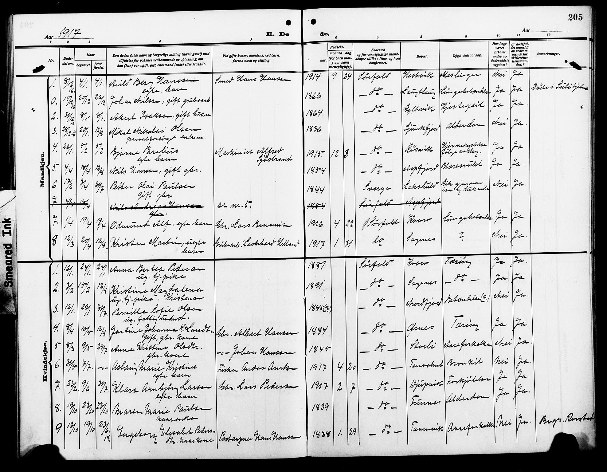 Ministerialprotokoller, klokkerbøker og fødselsregistre - Nordland, AV/SAT-A-1459/854/L0787: Parish register (copy) no. 854C03, 1913-1926, p. 205