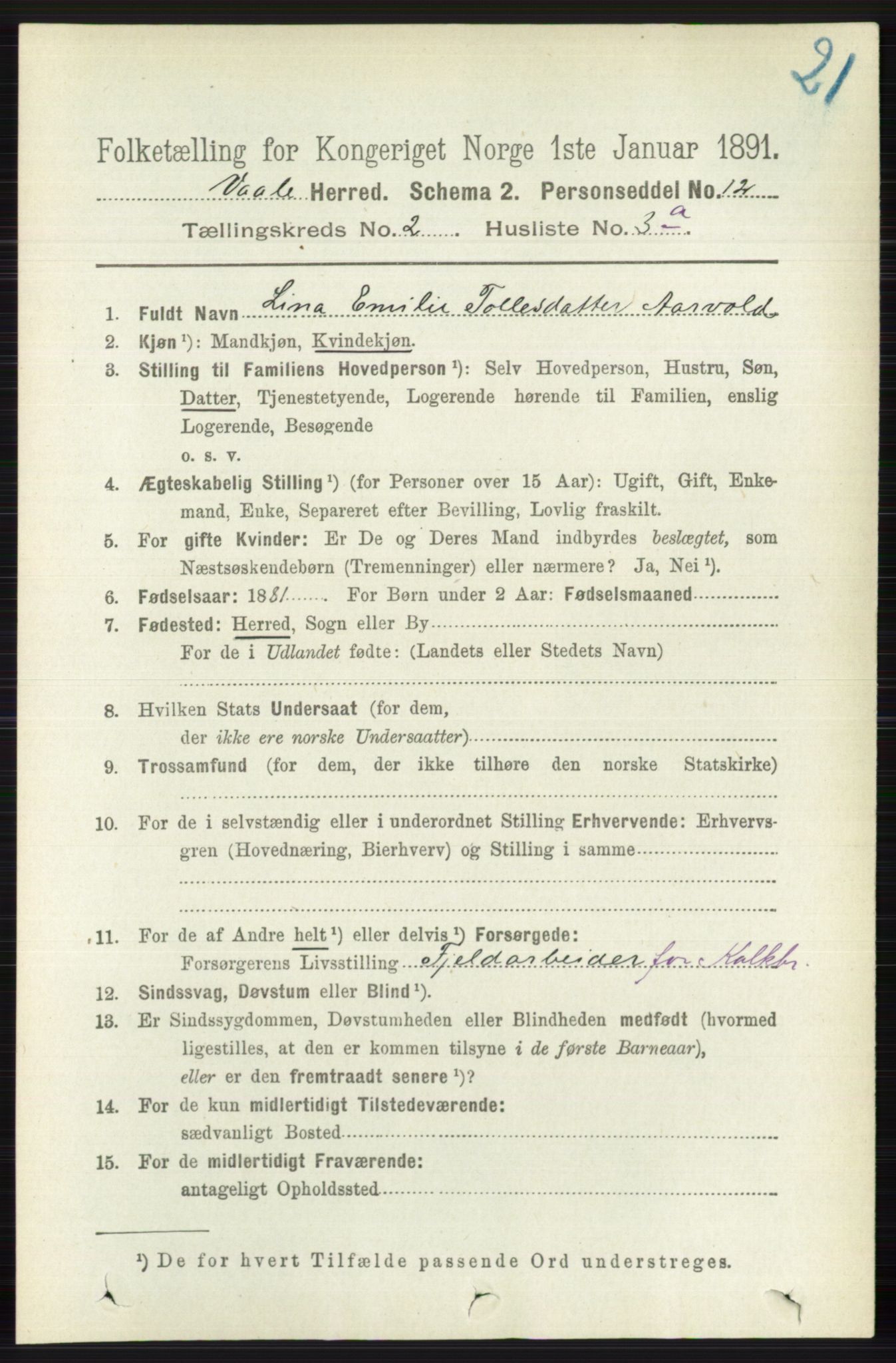 RA, 1891 census for 0716 Våle, 1891, p. 466