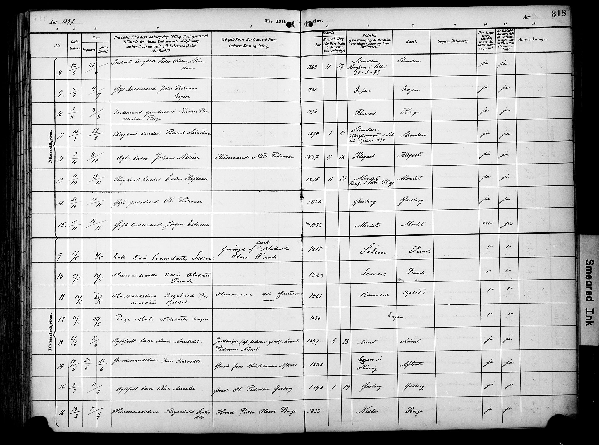 Ministerialprotokoller, klokkerbøker og fødselsregistre - Sør-Trøndelag, SAT/A-1456/695/L1149: Parish register (official) no. 695A09, 1891-1902, p. 318