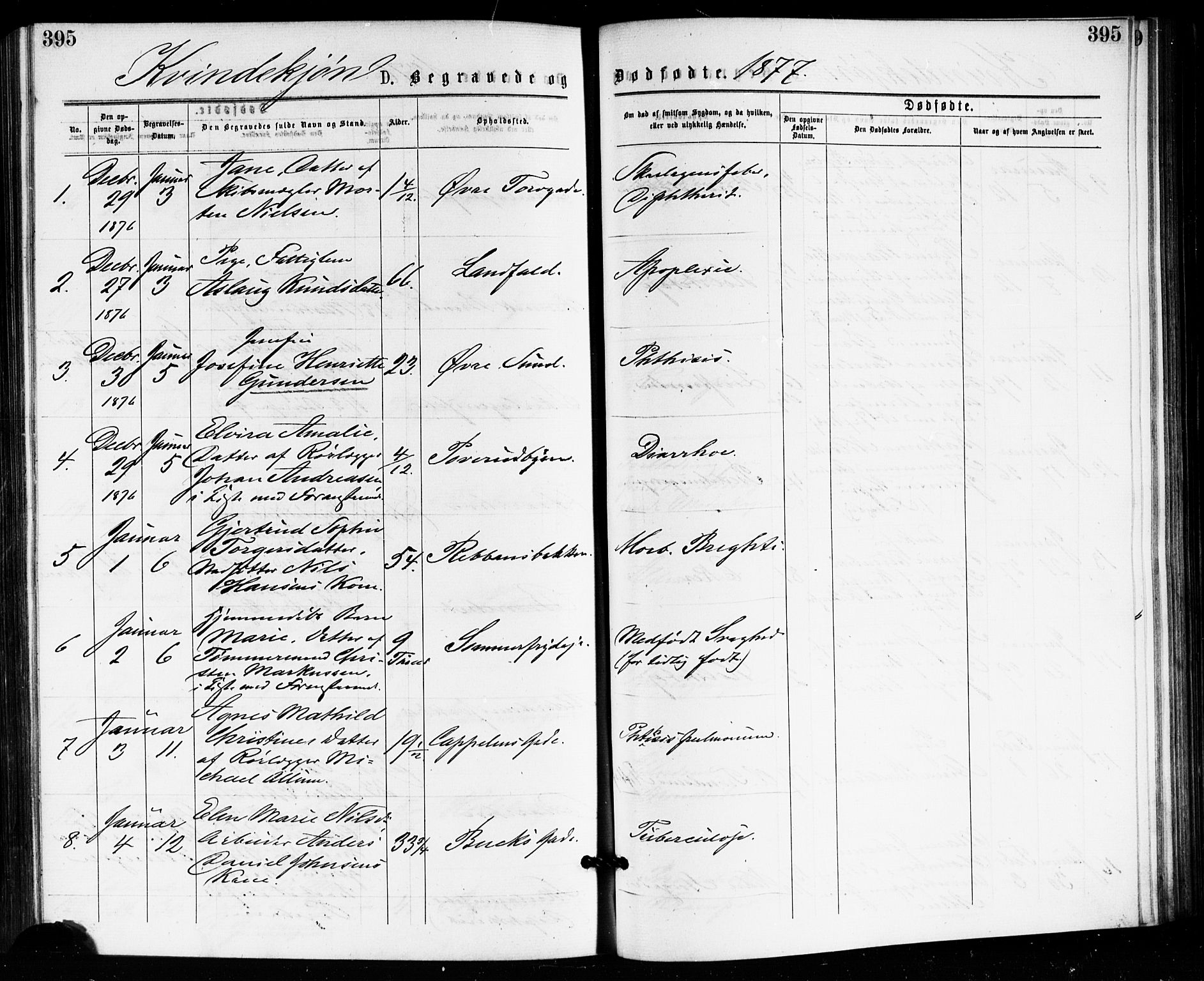 Bragernes kirkebøker, AV/SAKO-A-6/F/Fb/L0005: Parish register (official) no. II 5, 1875-1877, p. 395