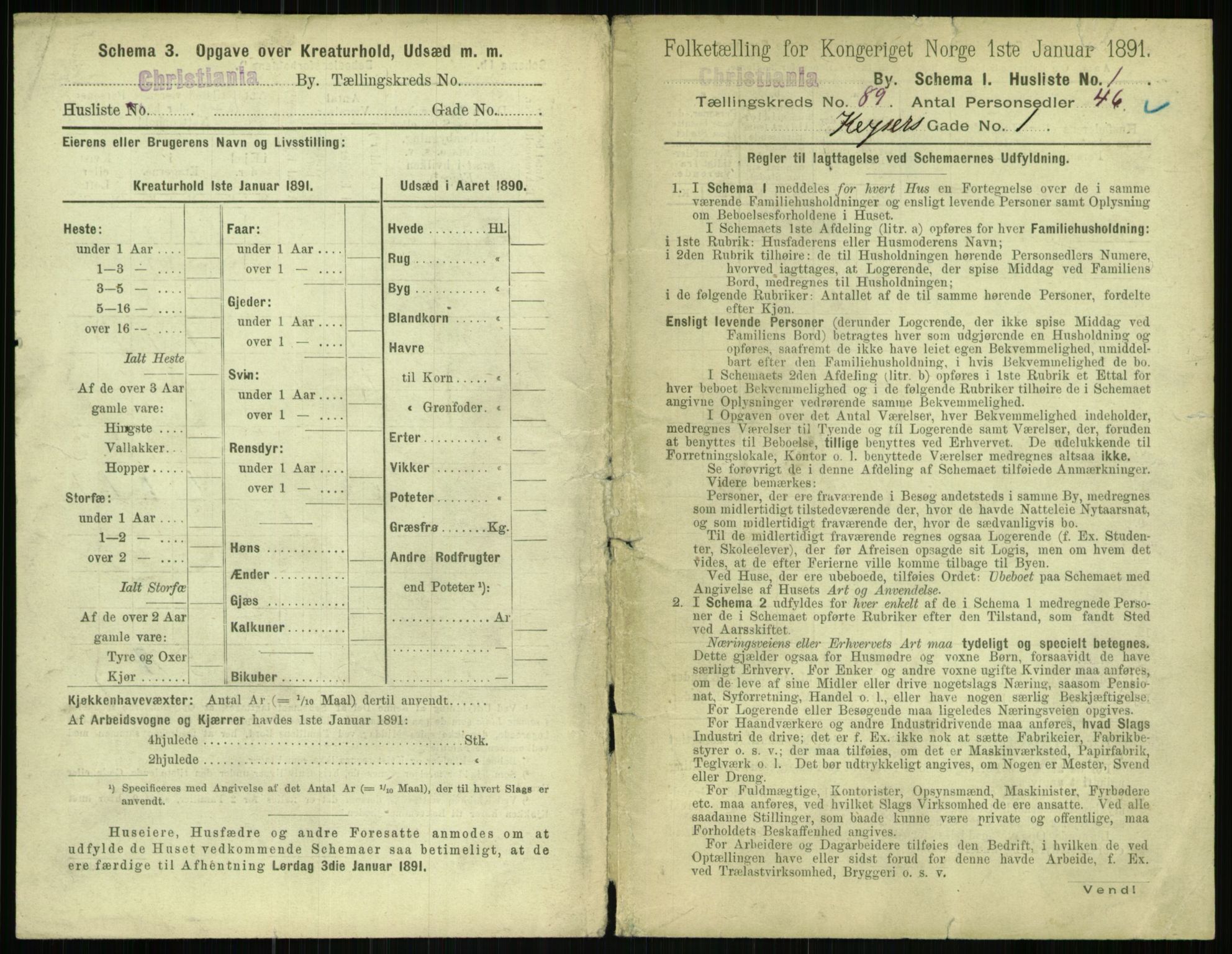 RA, 1891 census for 0301 Kristiania, 1891, p. 43875