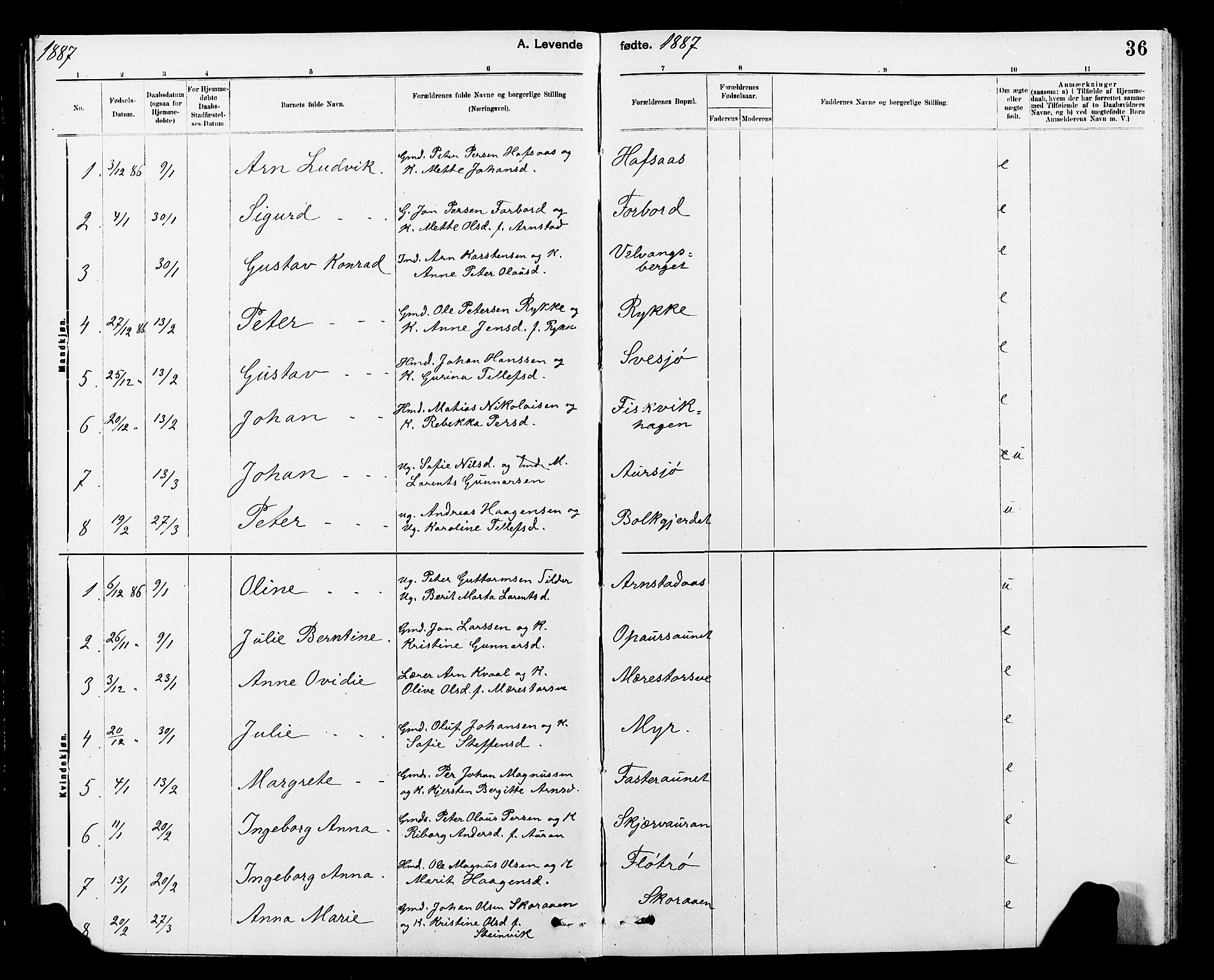 Ministerialprotokoller, klokkerbøker og fødselsregistre - Nord-Trøndelag, SAT/A-1458/712/L0103: Parish register (copy) no. 712C01, 1878-1917, p. 36