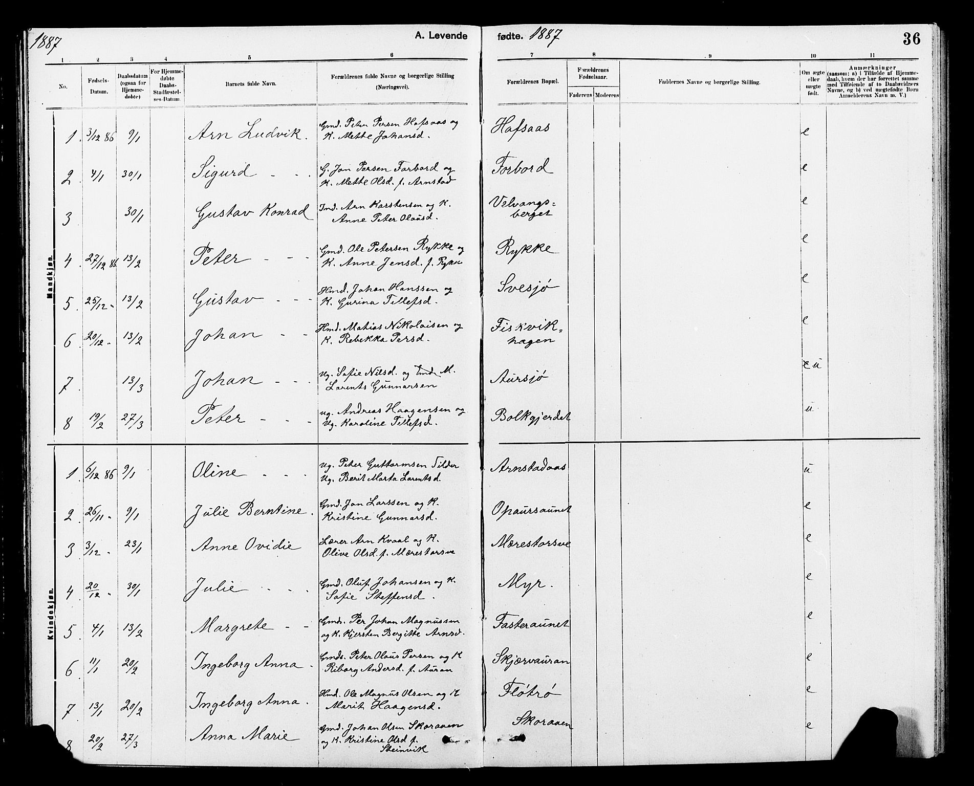 Ministerialprotokoller, klokkerbøker og fødselsregistre - Nord-Trøndelag, AV/SAT-A-1458/712/L0103: Parish register (copy) no. 712C01, 1878-1917, p. 36