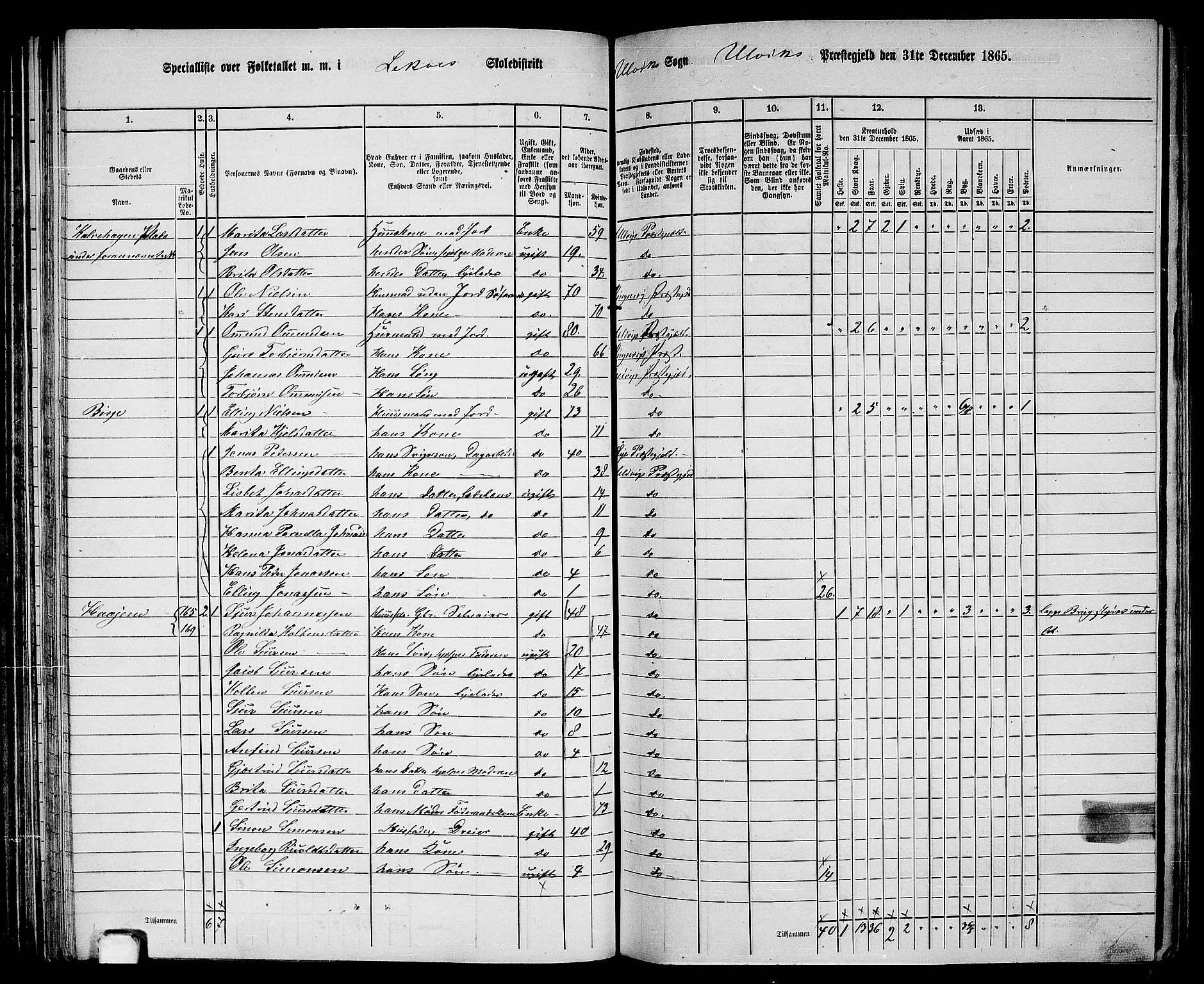 RA, 1865 census for Ulvik, 1865, p. 71