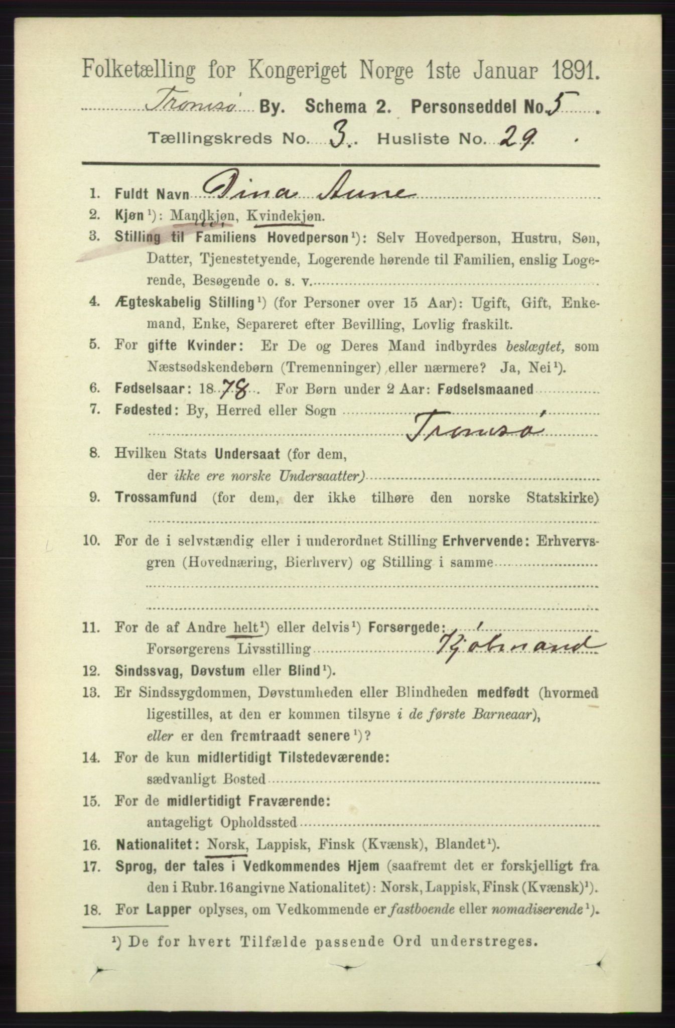 RA, 1891 census for 1902 Tromsø, 1891, p. 3452