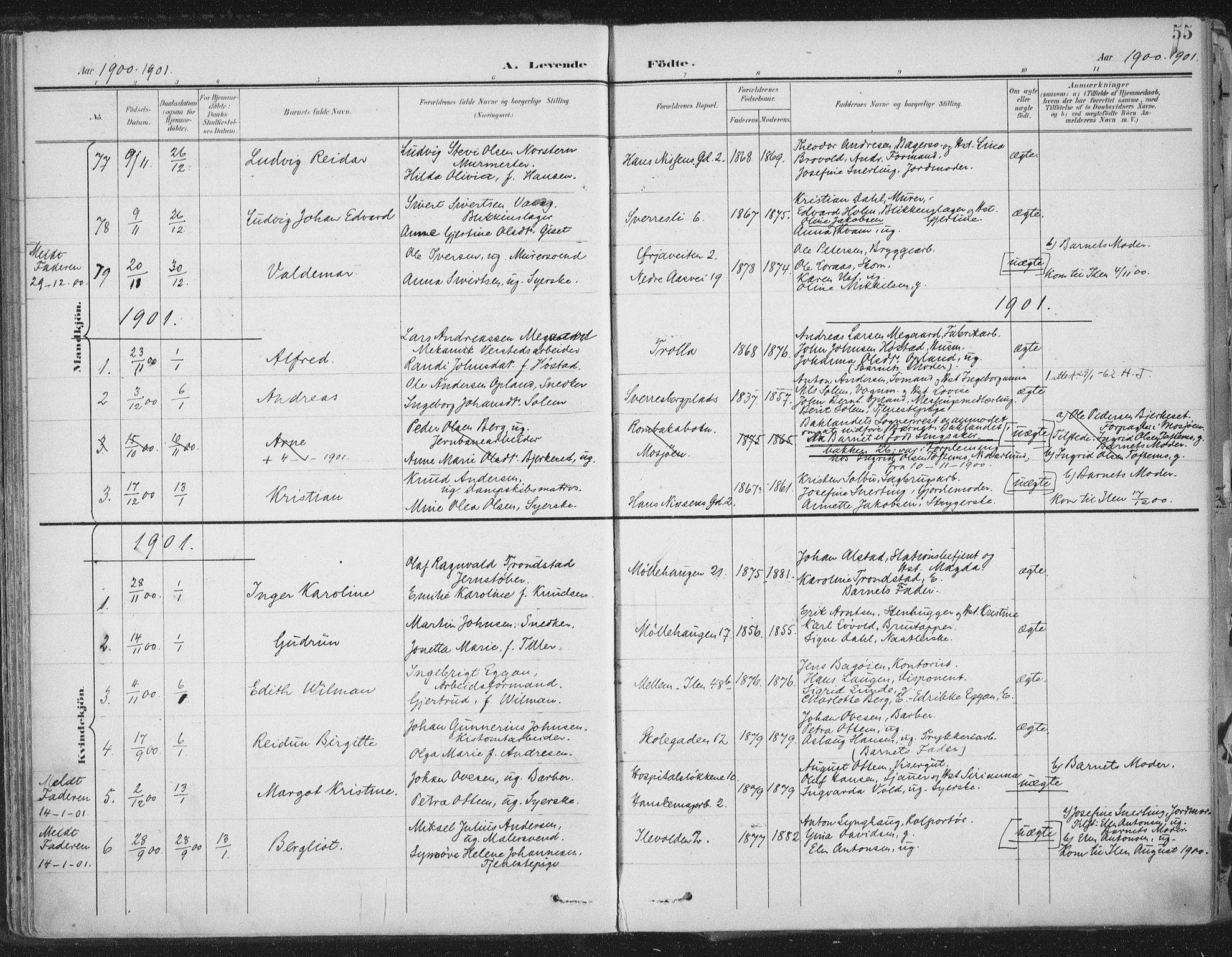 Ministerialprotokoller, klokkerbøker og fødselsregistre - Sør-Trøndelag, SAT/A-1456/603/L0167: Parish register (official) no. 603A06, 1896-1932, p. 55