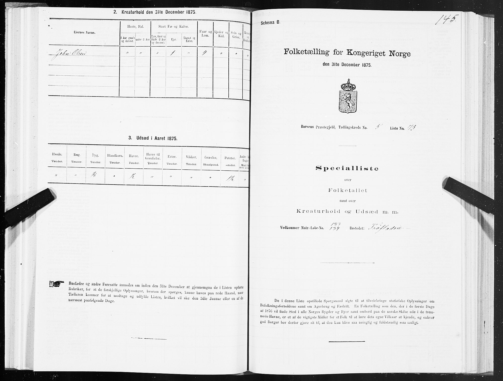 SAT, 1875 census for 1658P Børsa, 1875, p. 4145