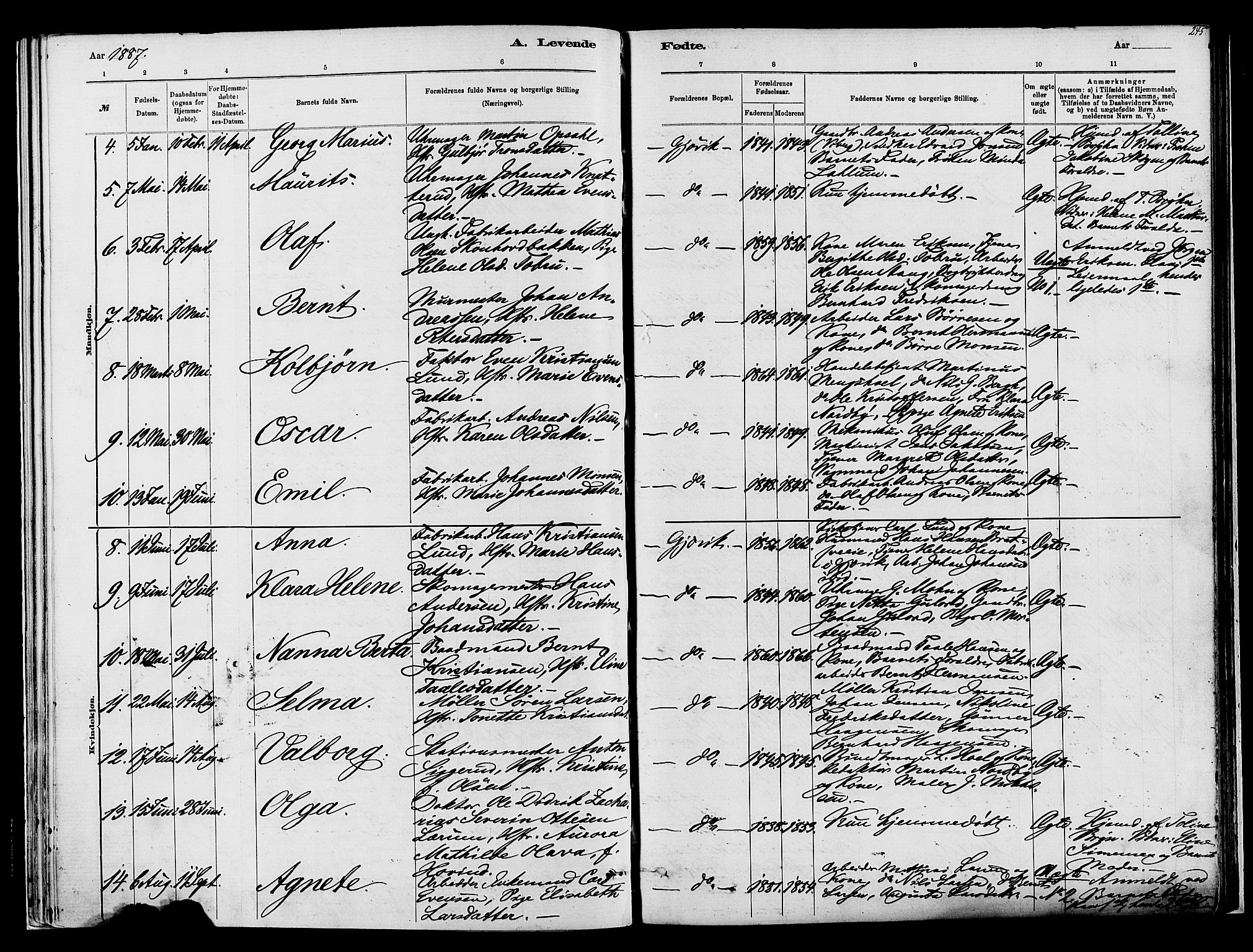 Vardal prestekontor, SAH/PREST-100/H/Ha/Haa/L0008: Parish register (official) no. 8, 1878-1890, p. 245