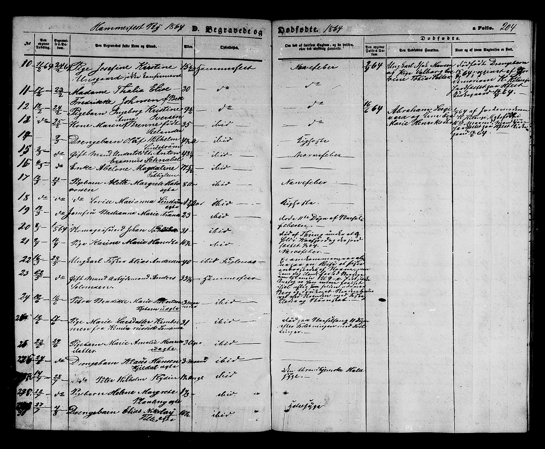 Hammerfest sokneprestkontor, AV/SATØ-S-1347/H/Hb/L0003.klokk: Parish register (copy) no. 3 /1, 1862-1868, p. 204