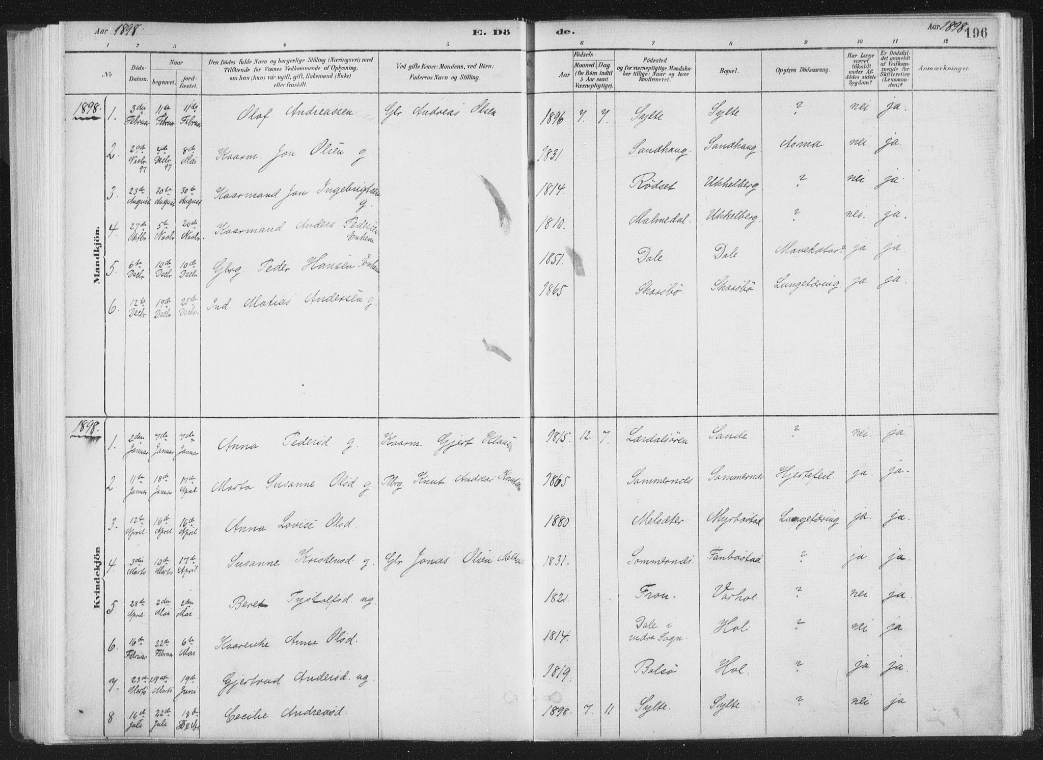 Ministerialprotokoller, klokkerbøker og fødselsregistre - Møre og Romsdal, SAT/A-1454/564/L0740: Parish register (official) no. 564A01, 1880-1899, p. 196
