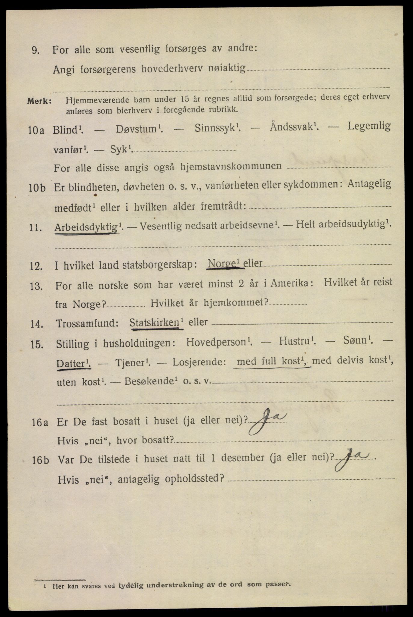 SAKO, 1920 census for Porsgrunn, 1920, p. 17306