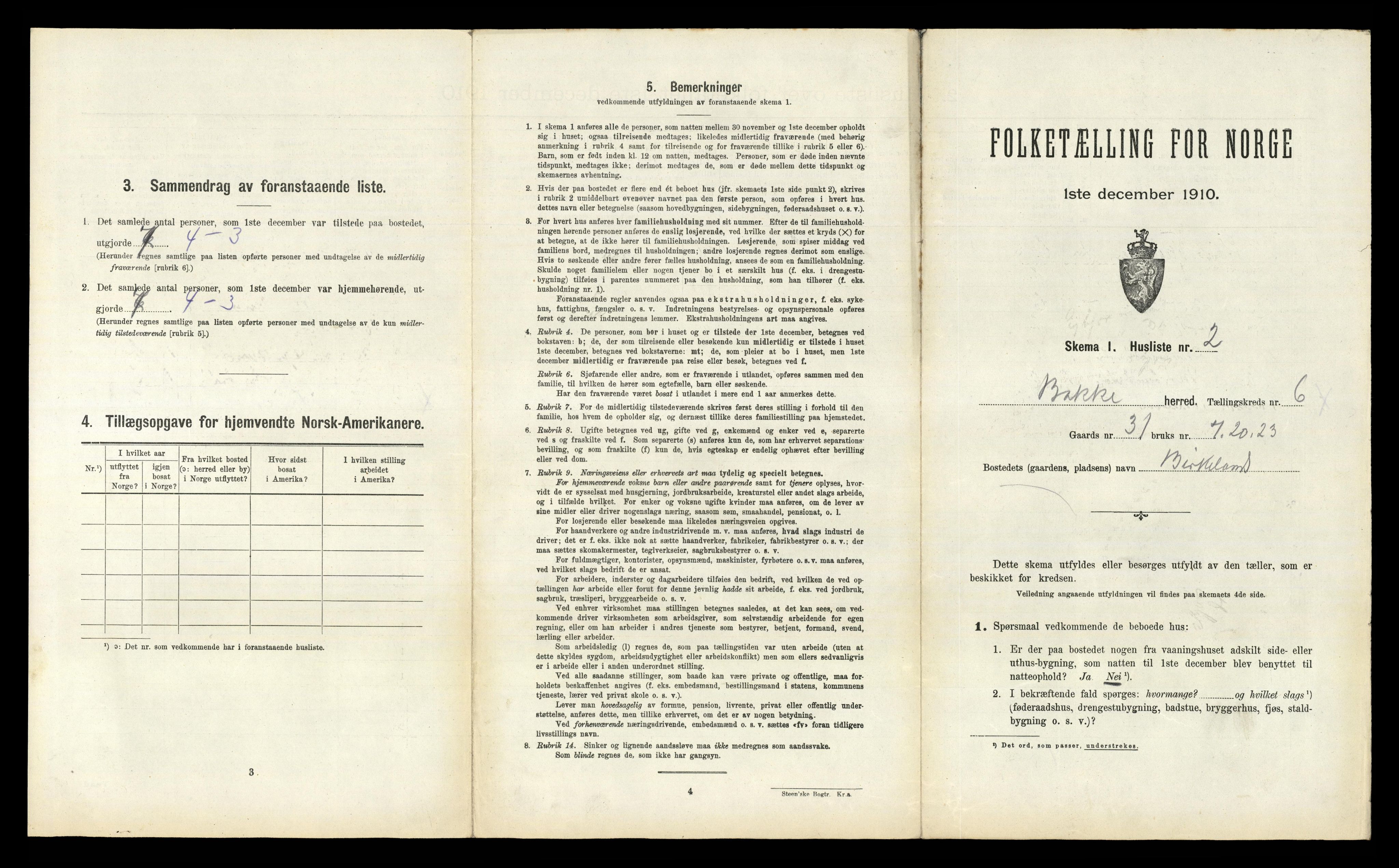 RA, 1910 census for Bakke, 1910, p. 303