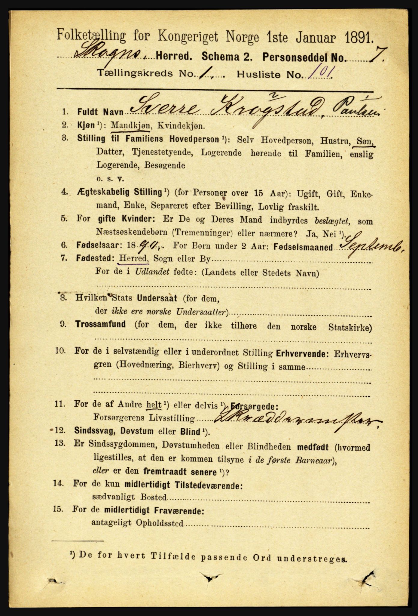 RA, 1891 census for 1719 Skogn, 1891, p. 713