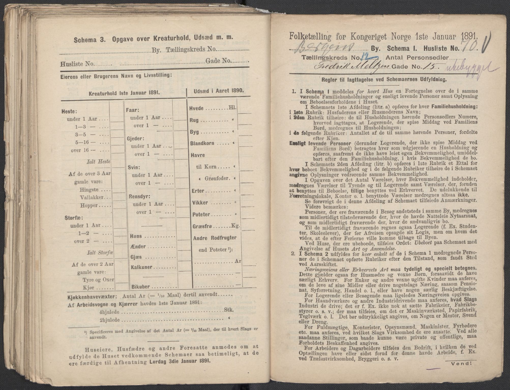 RA, 1891 Census for 1301 Bergen, 1891, p. 1995