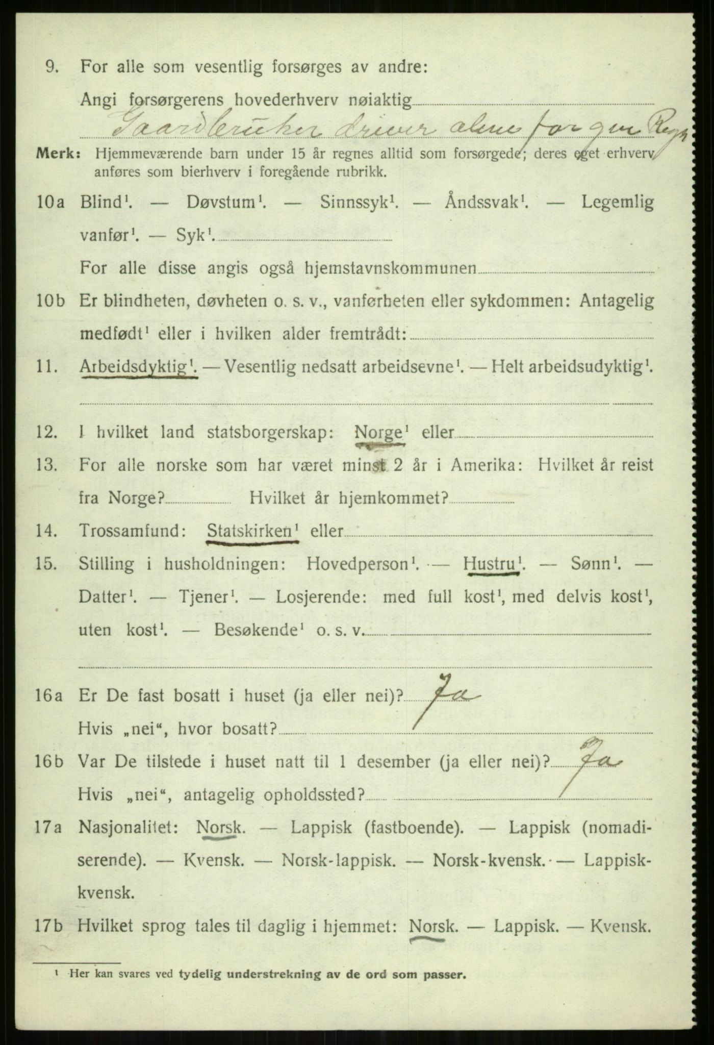 SATØ, 1920 census for Tromsøysund, 1920, p. 7245