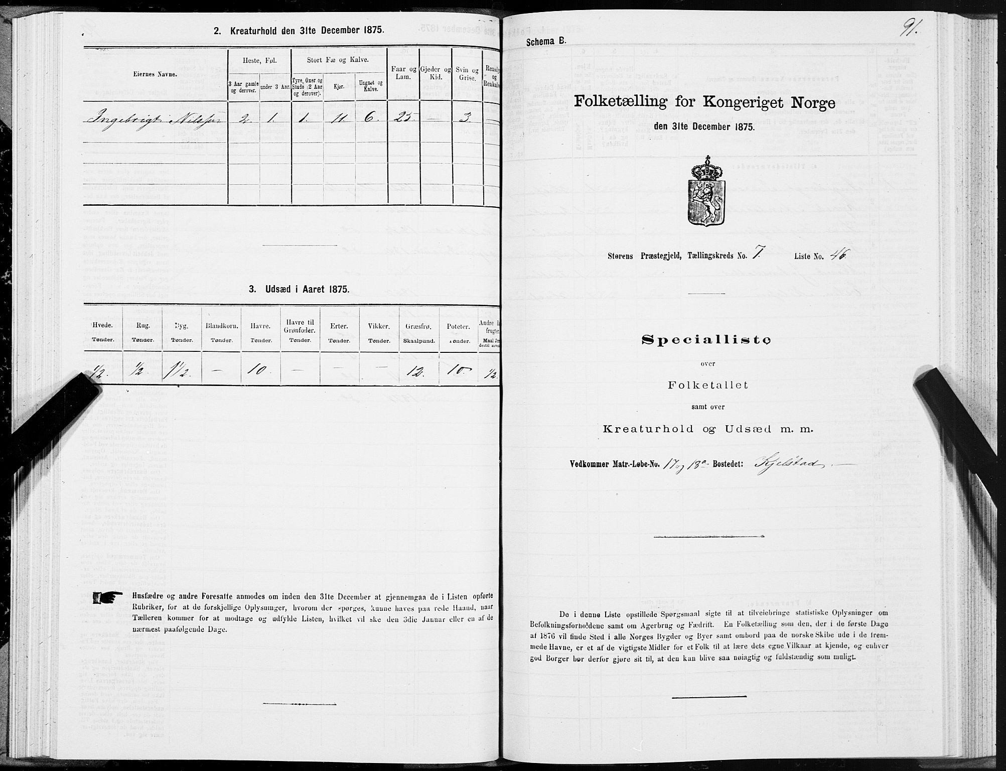 SAT, 1875 census for 1648P Støren, 1875, p. 4091