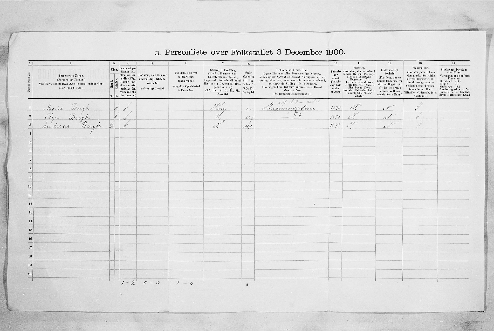 RA, 1900 census for Drammen, 1900, p. 8707