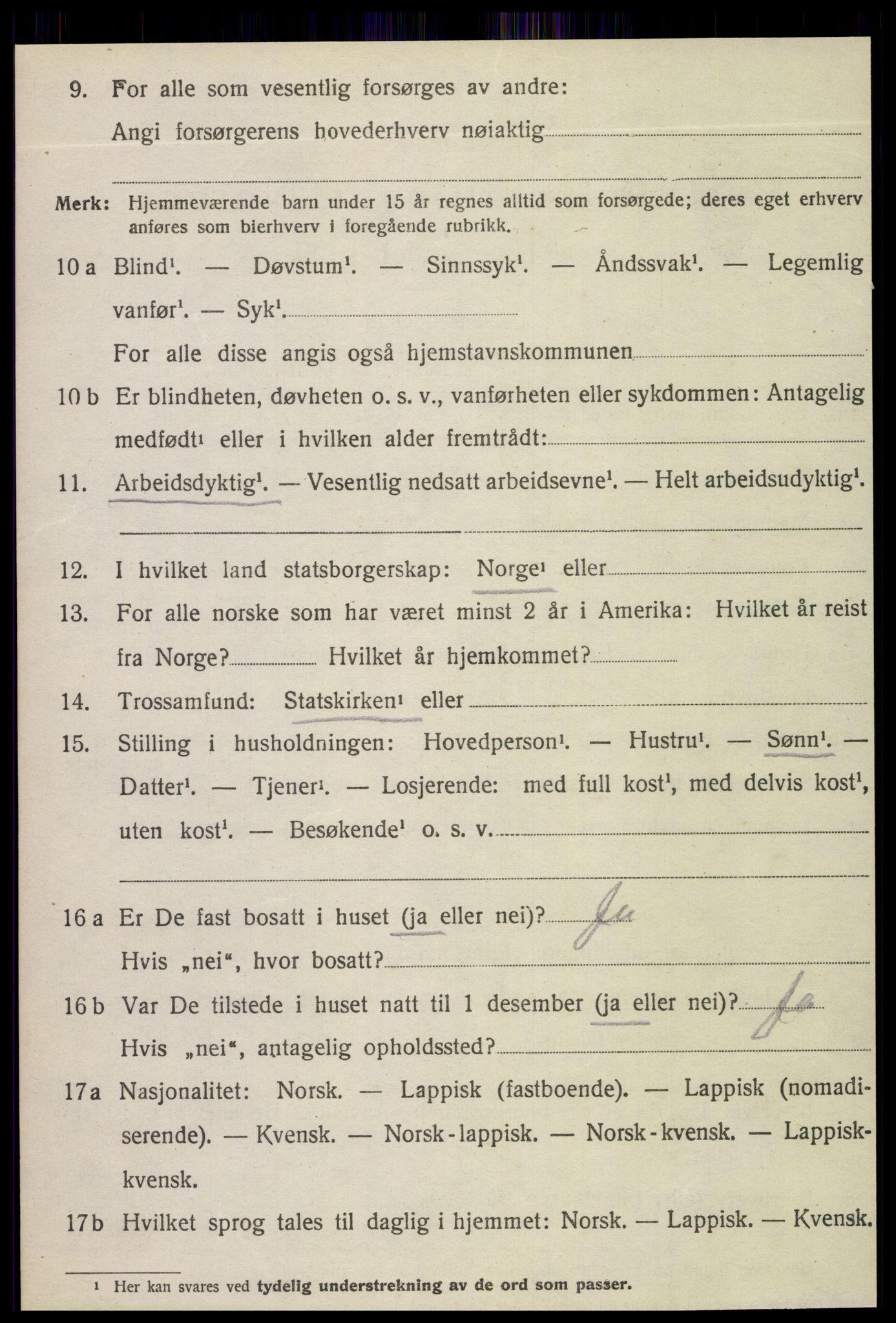 SAT, 1920 census for Fauske, 1920, p. 10113