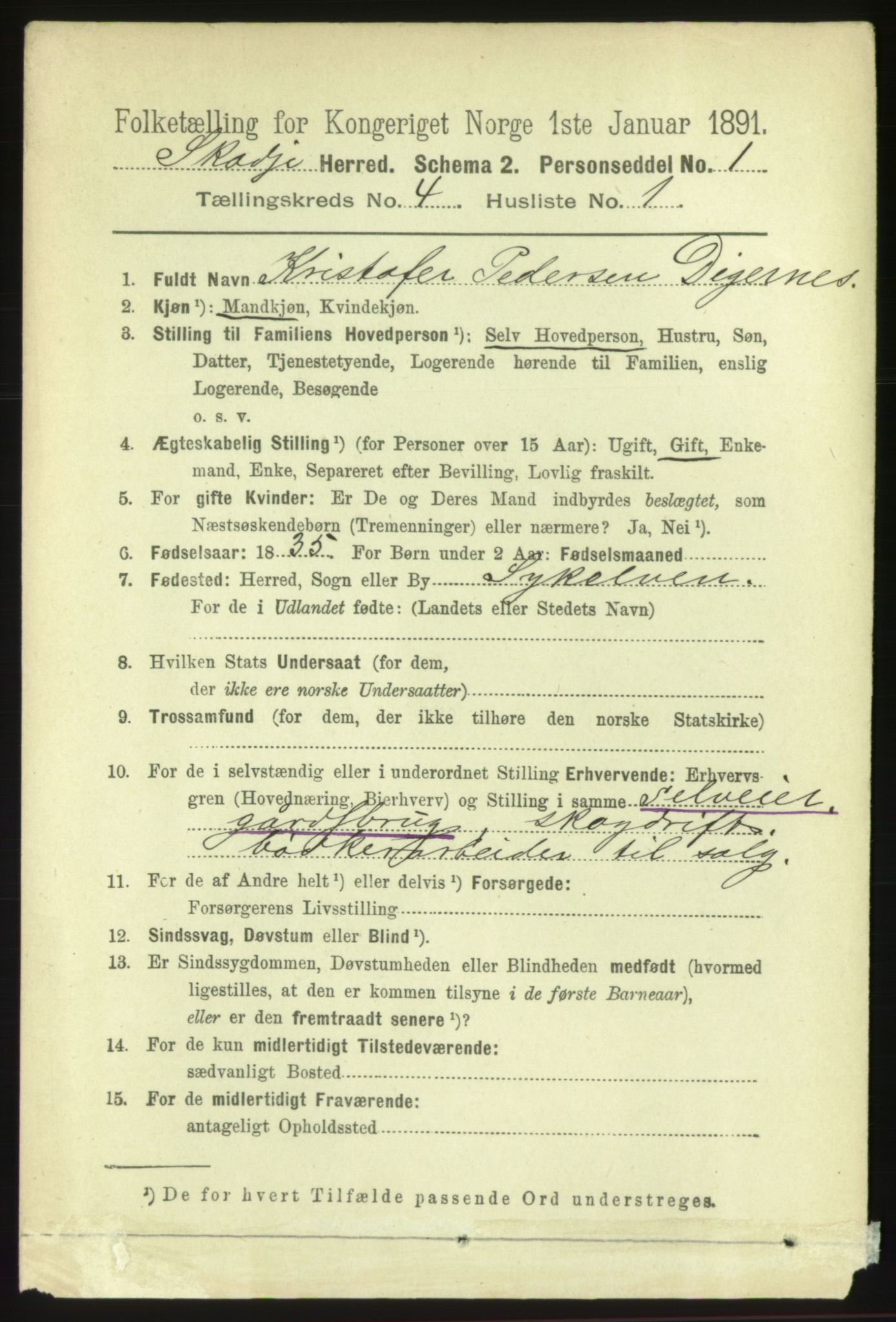 RA, 1891 census for 1529 Skodje, 1891, p. 588