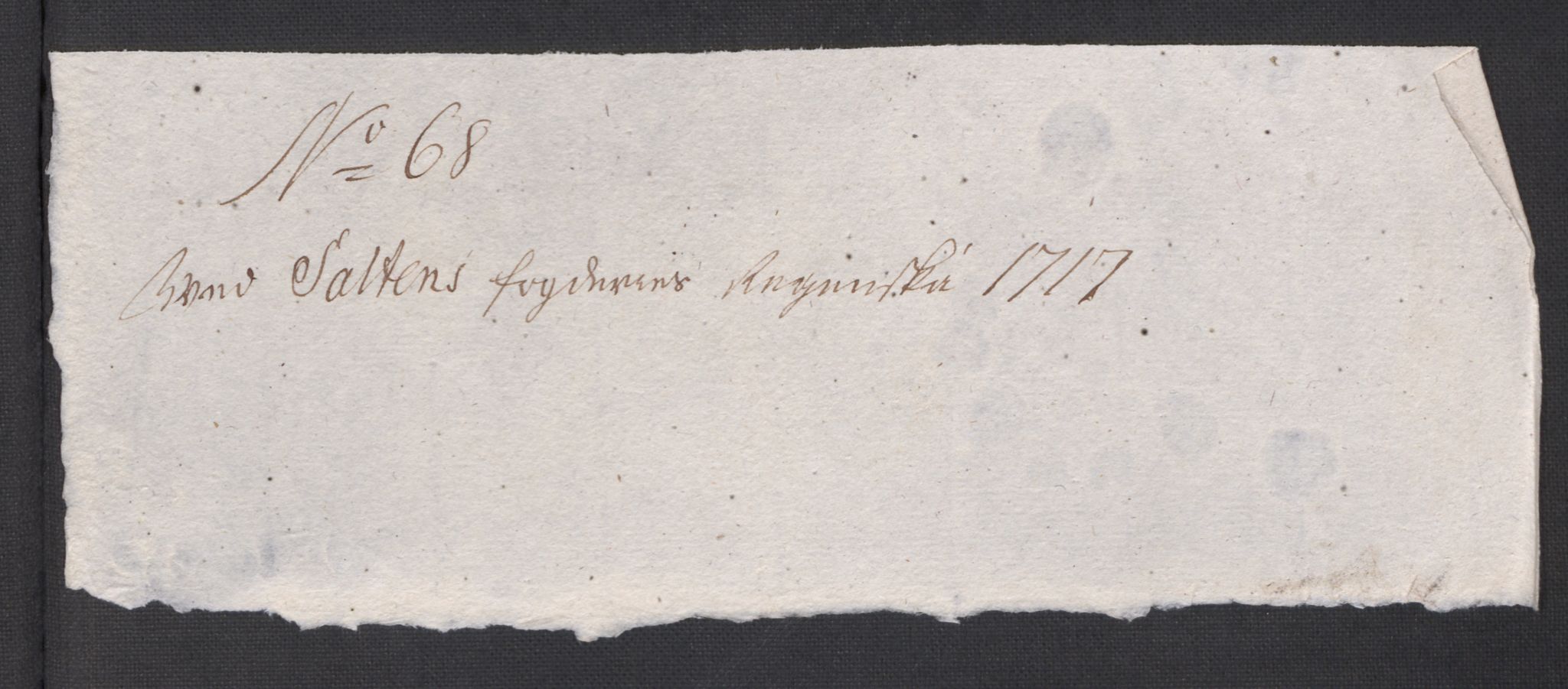 Rentekammeret inntil 1814, Reviderte regnskaper, Fogderegnskap, AV/RA-EA-4092/R66/L4587: Fogderegnskap Salten, 1717, p. 359