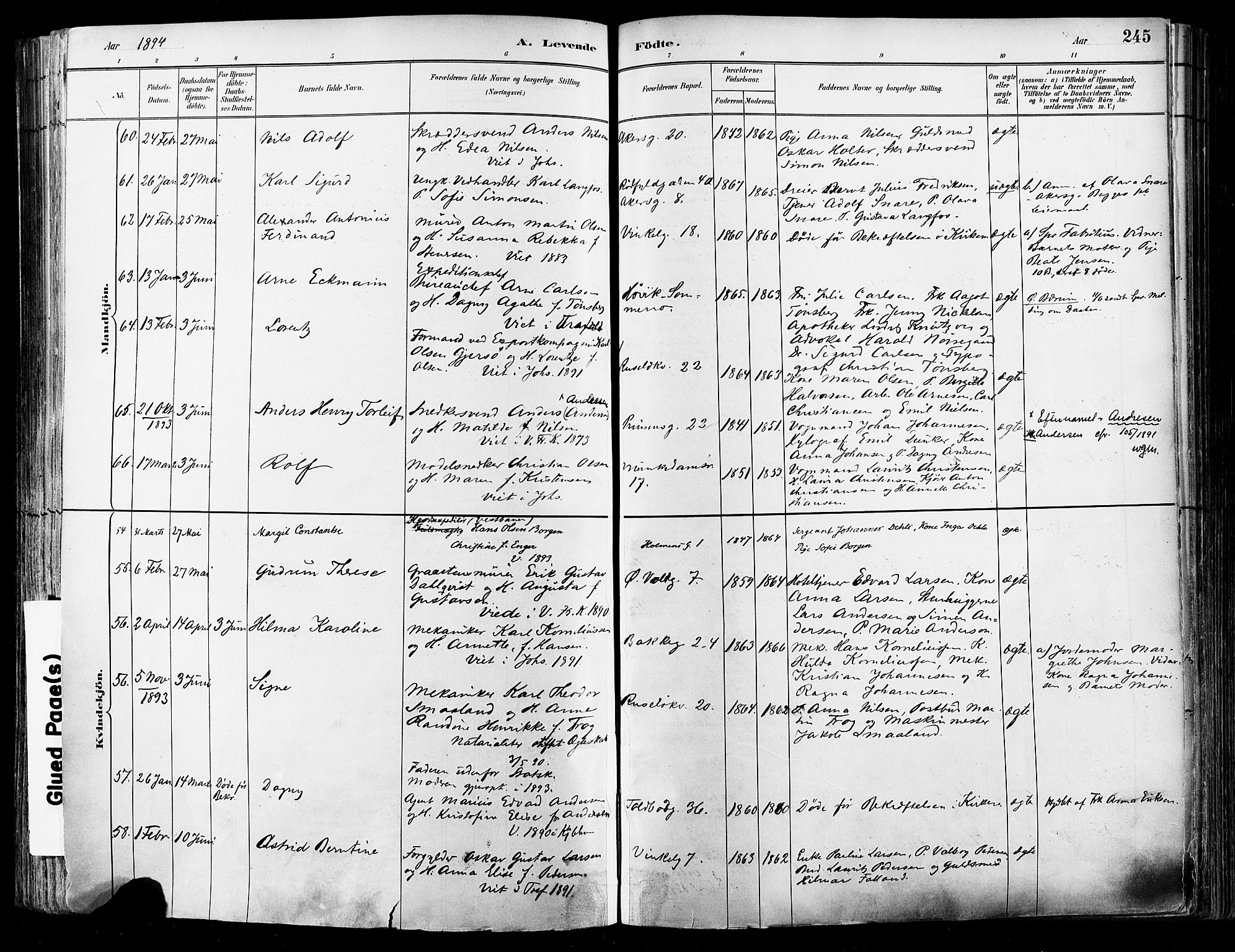 Johannes prestekontor Kirkebøker, SAO/A-10852/F/Fa/L0003: Parish register (official) no. 3, 1882-1896, p. 245