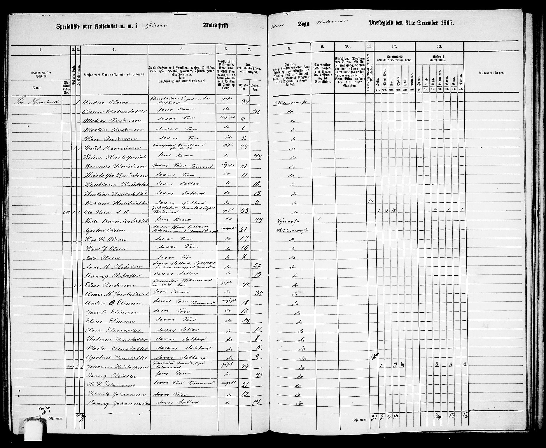 RA, 1865 census for Skudenes, 1865, p. 159